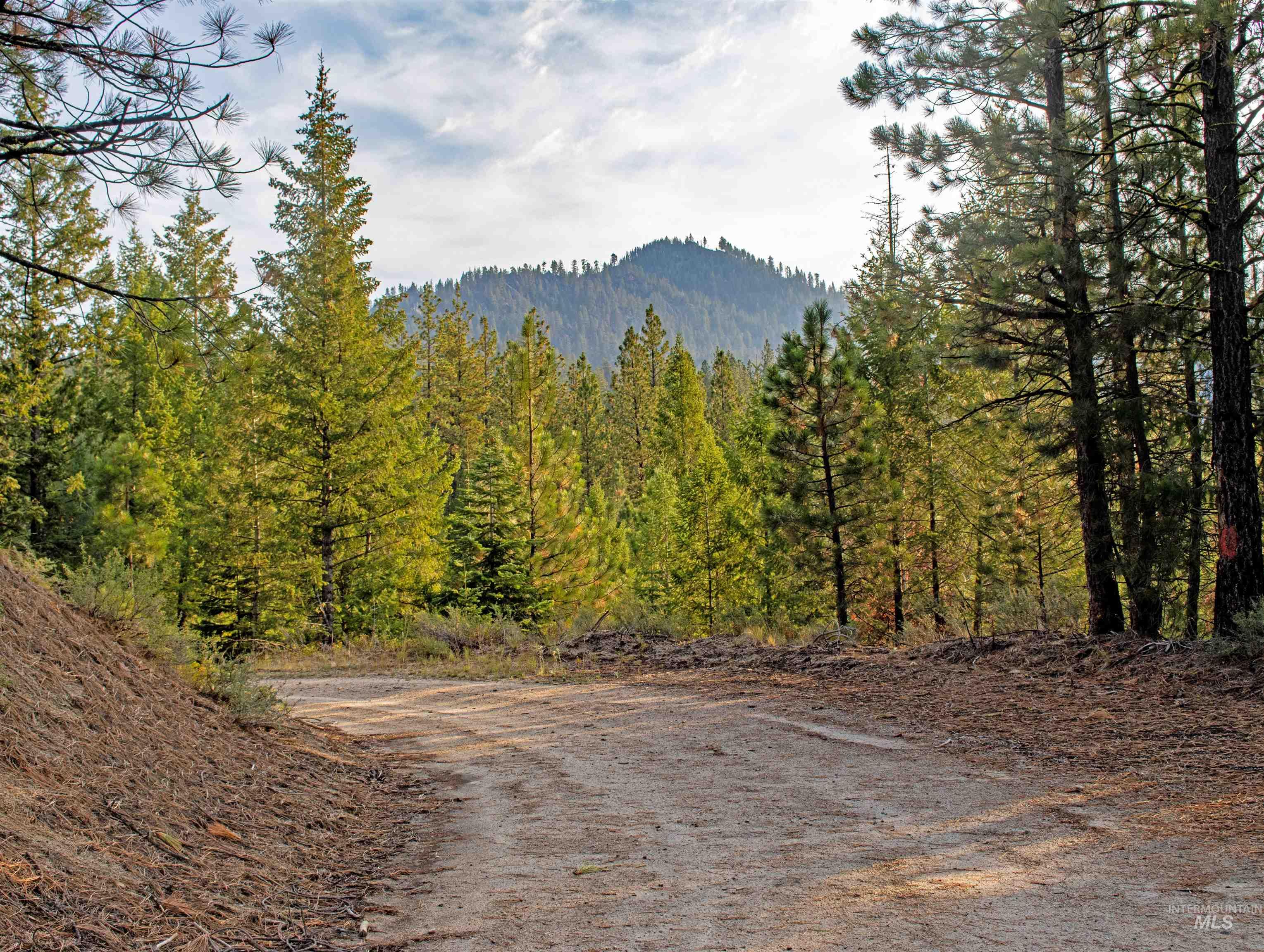 TBD 1 Warm Lake Road, Cascade, Idaho 83611, Land For Sale, Price $22,500,000,MLS 98980090