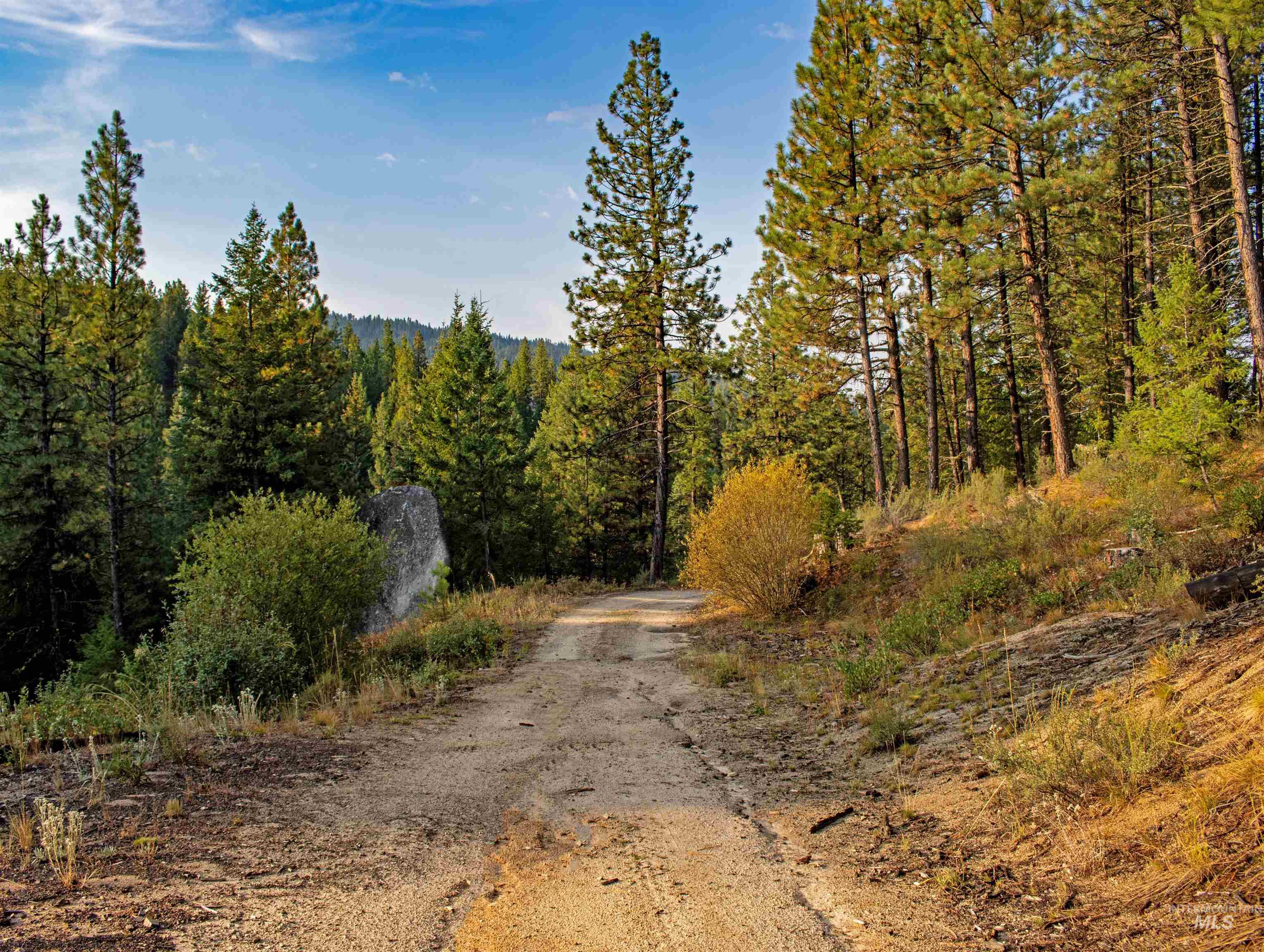 TBD 1 Warm Lake Road, Cascade, Idaho 83611, Land For Sale, Price $22,500,000,MLS 98980090