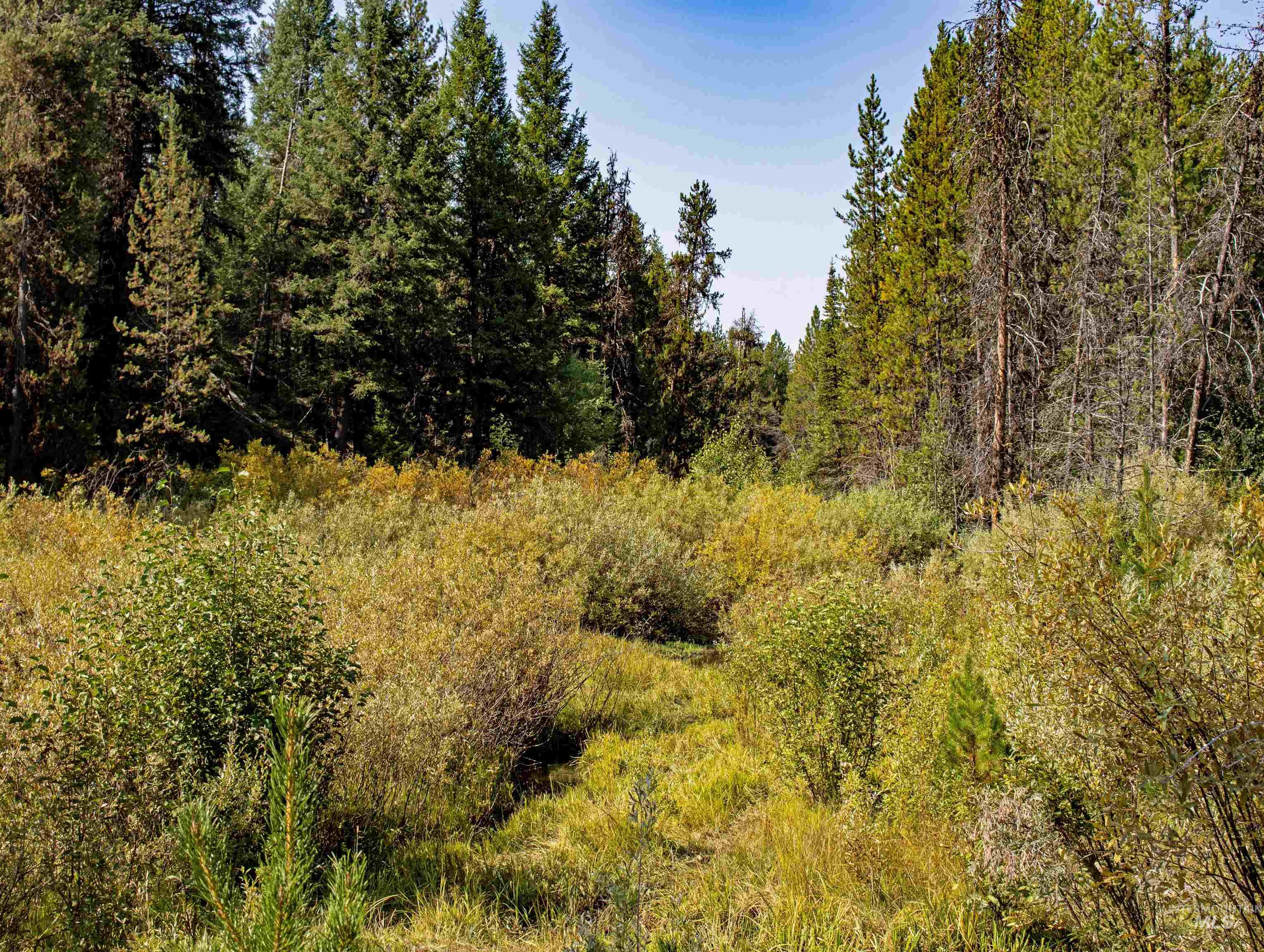 TBD 1 Warm Lake Road, Cascade, Idaho 83611, Land For Sale, Price $22,500,000,MLS 98980090