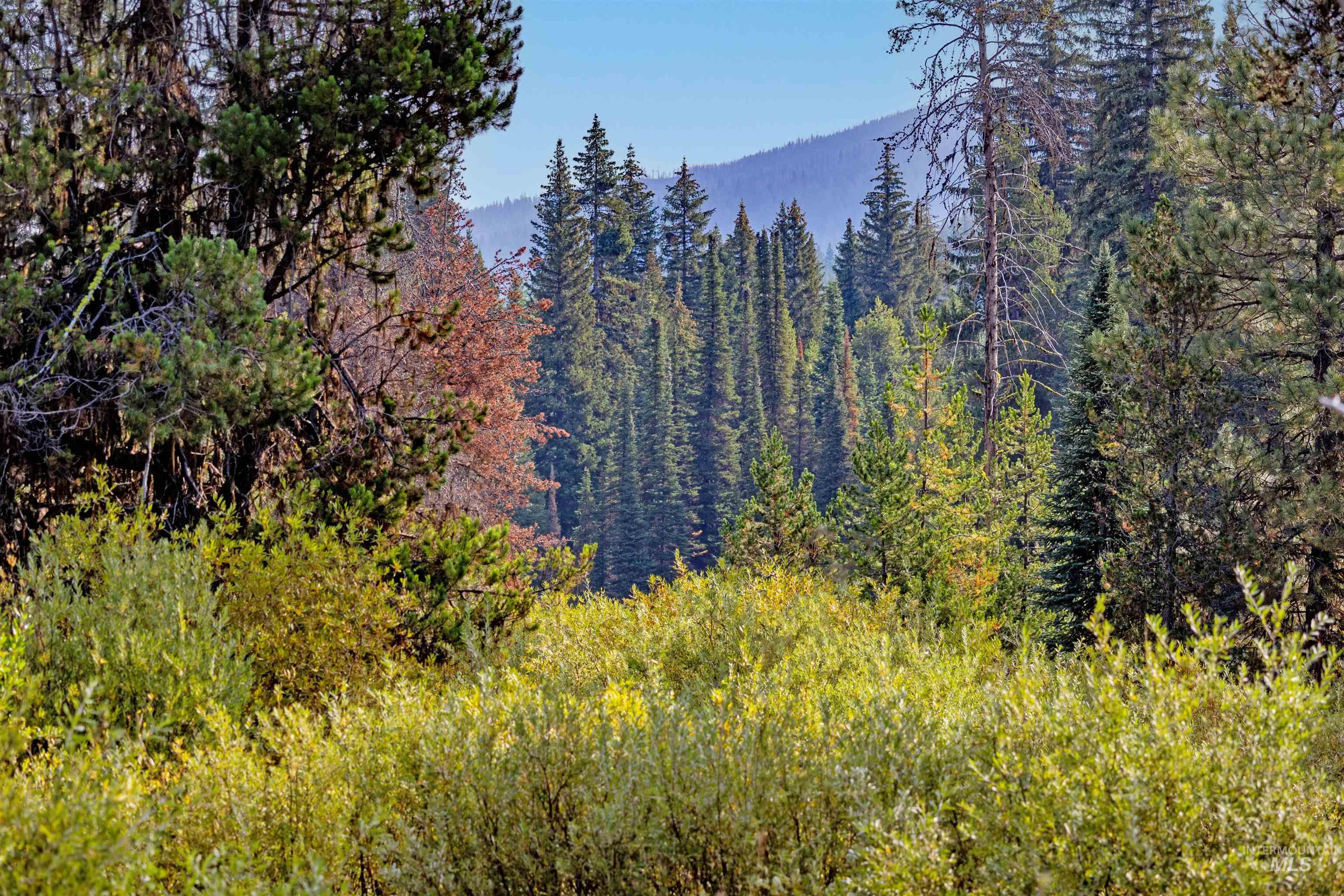 TBD 1 Warm Lake Road, Cascade, Idaho 83611, Land For Sale, Price $22,500,000,MLS 98980090