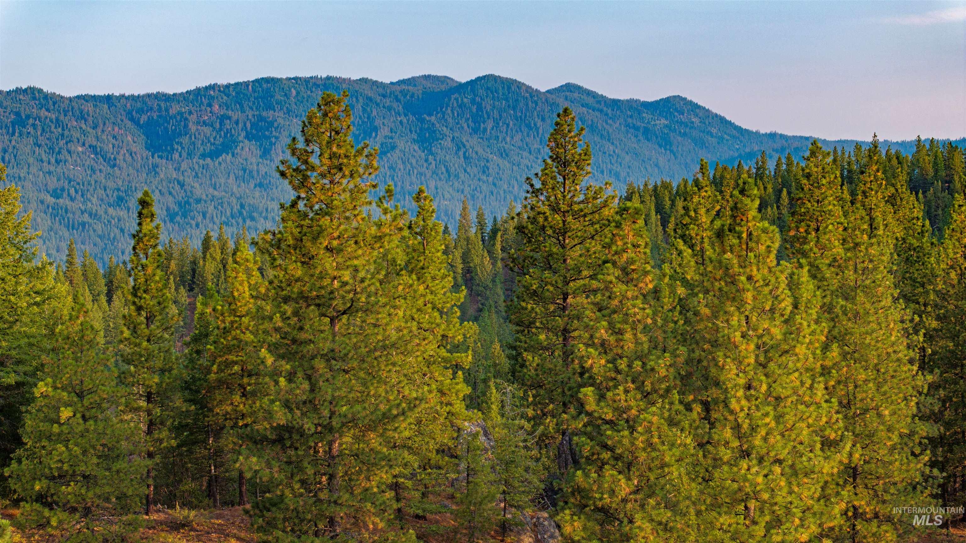 TBD 1 Warm Lake Road, Cascade, Idaho 83611, Land For Sale, Price $22,500,000,MLS 98980090