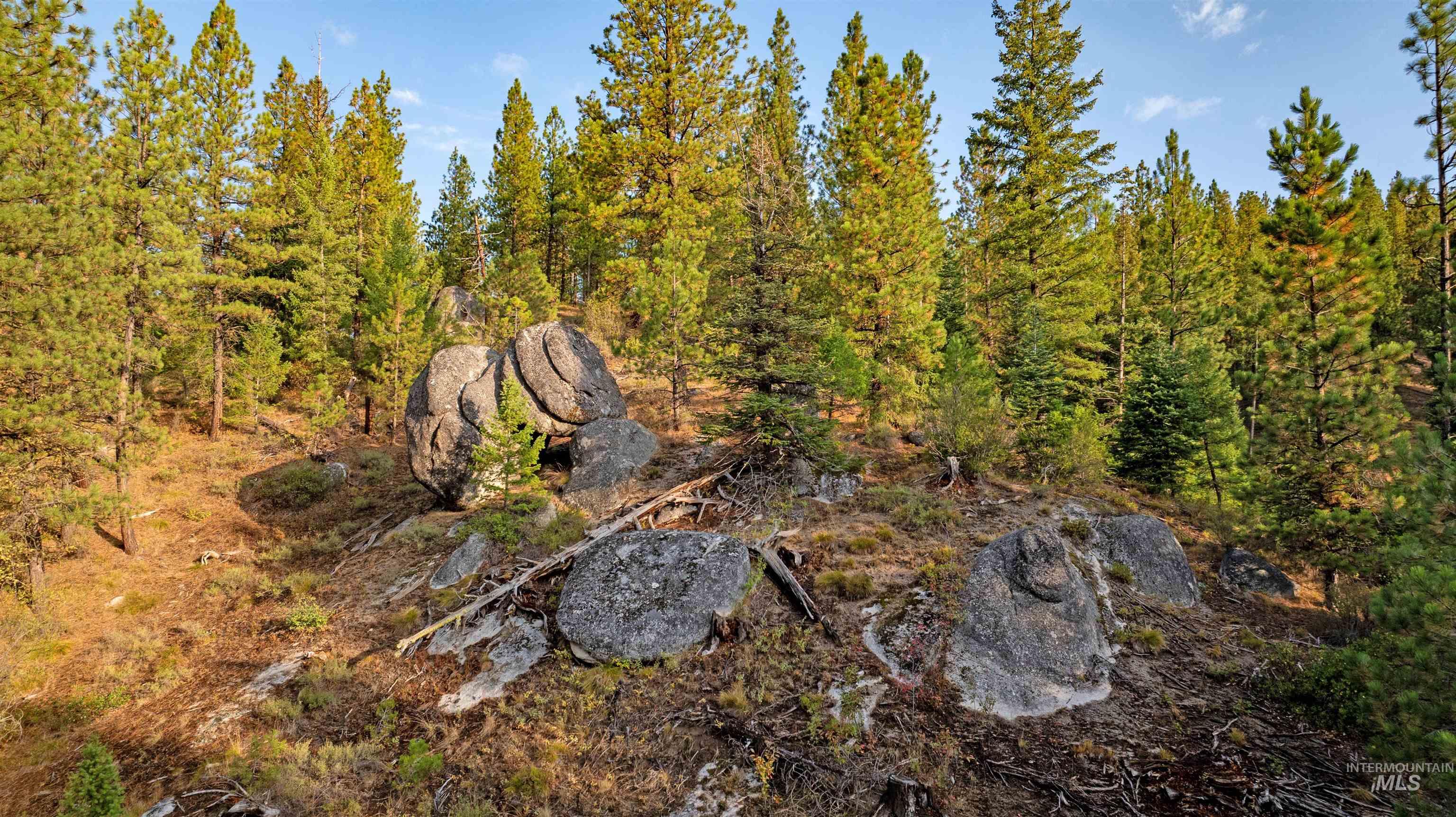 TBD 1 Warm Lake Road, Cascade, Idaho 83611, Land For Sale, Price $22,500,000,MLS 98980090