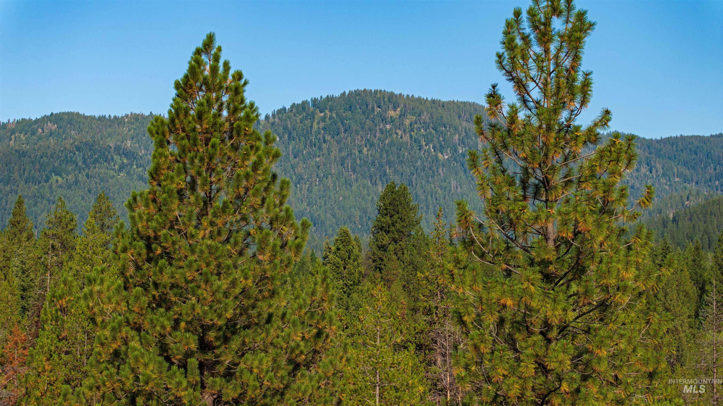 TBD 1 Warm Lake Road, Cascade, Idaho 83611, Land For Sale, Price $22,500,000,MLS 98980090