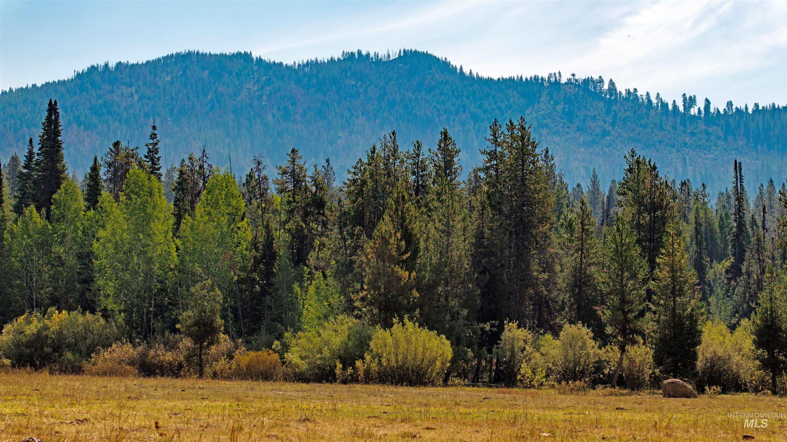 TBD 1 Warm Lake Road, Cascade, Idaho 83611, Land For Sale, Price $22,500,000,MLS 98980090