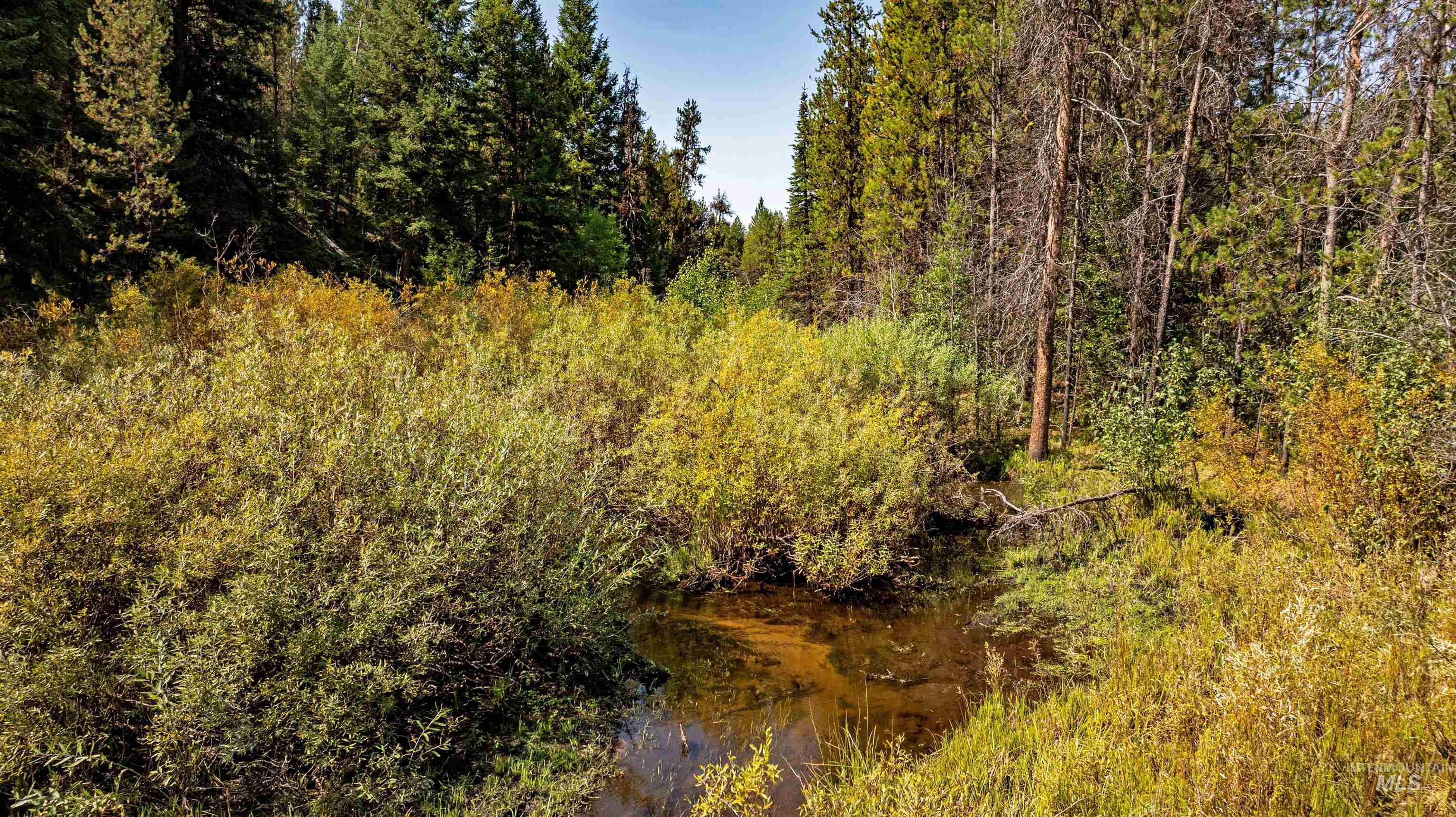 TBD 1 Warm Lake Road, Cascade, Idaho 83611, Land For Sale, Price $22,500,000,MLS 98980090