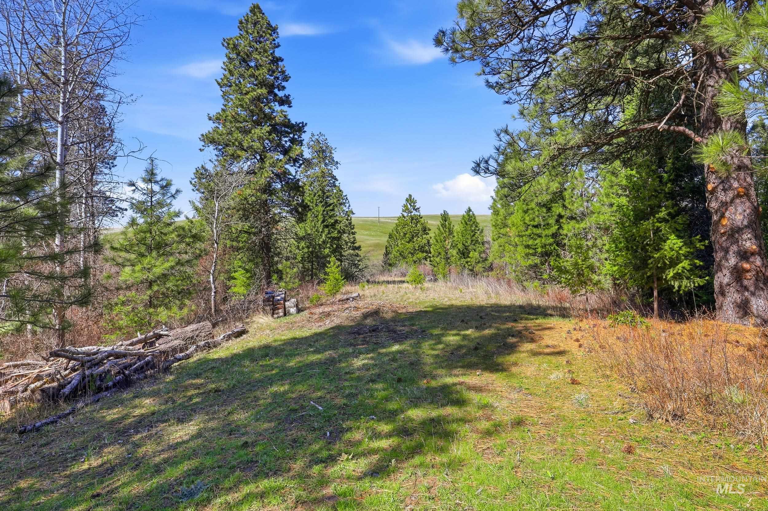 1114 Paradise Ridge Road, Moscow, Idaho 83843, Land For Sale, Price $349,000,MLS 98980093