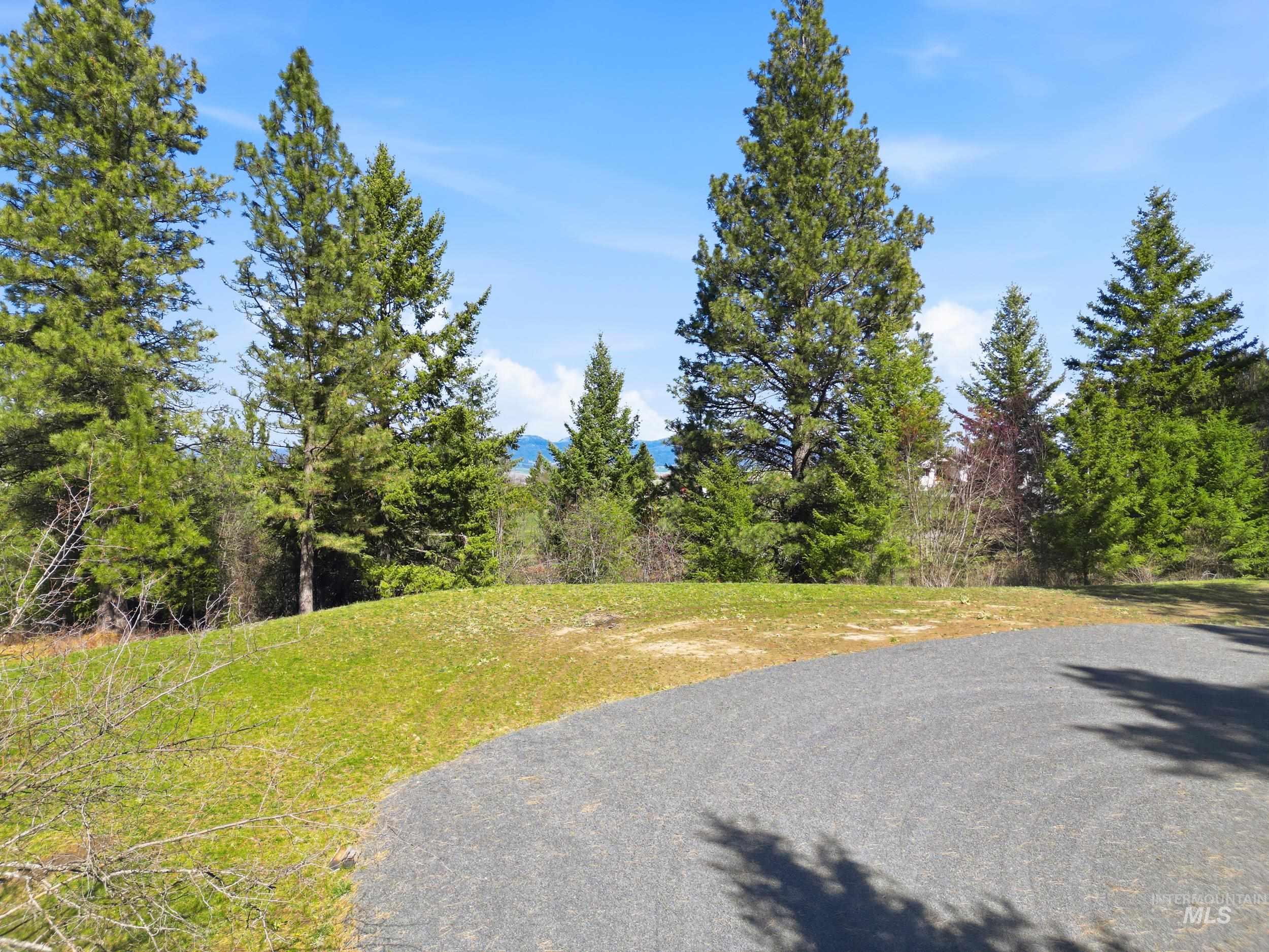 1114 Paradise Ridge Road, Moscow, Idaho 83843, Land For Sale, Price $349,000,MLS 98980093