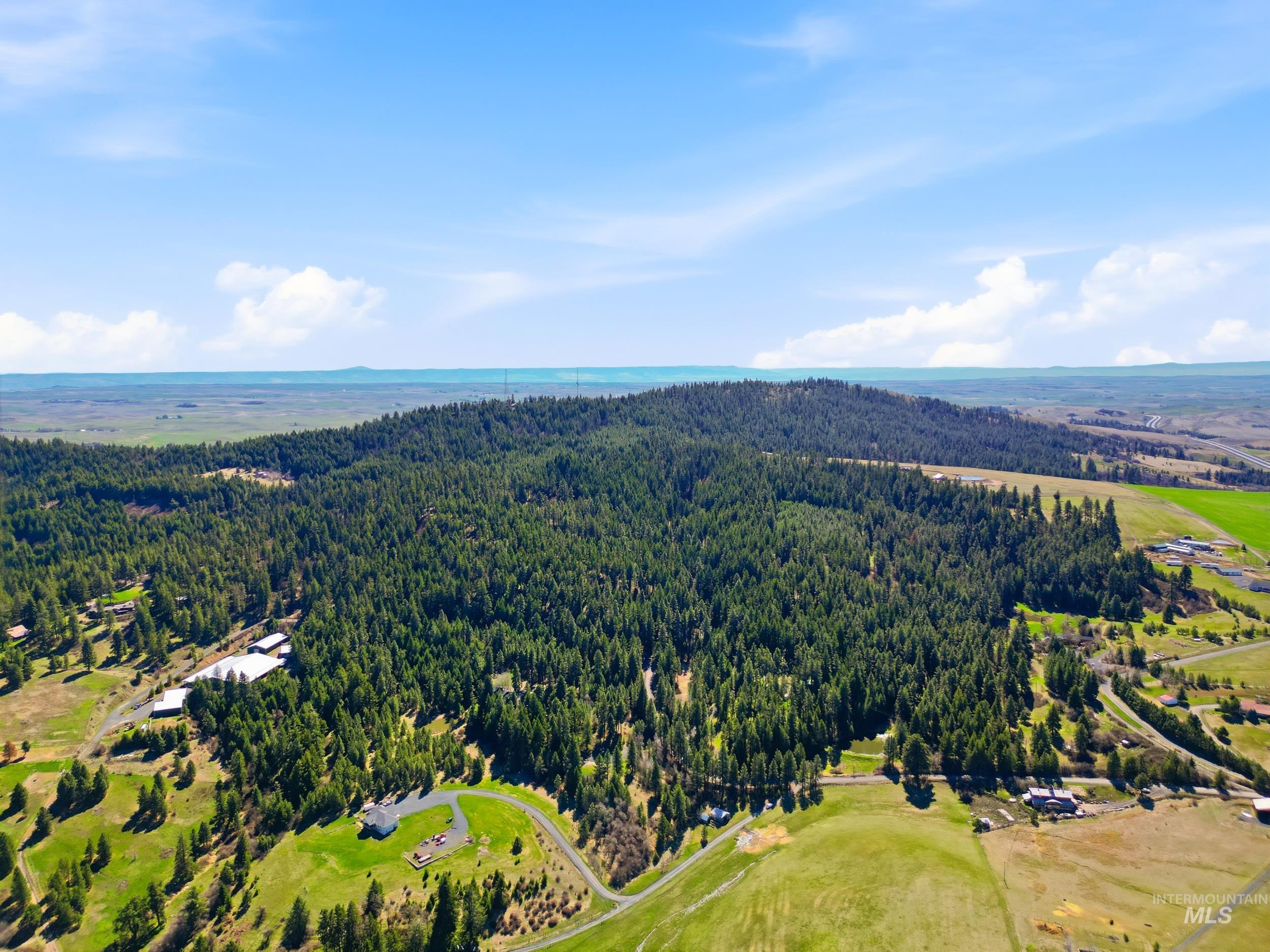 1114 Paradise Ridge Road, Moscow, Idaho 83843, Land For Sale, Price $349,000,MLS 98980093