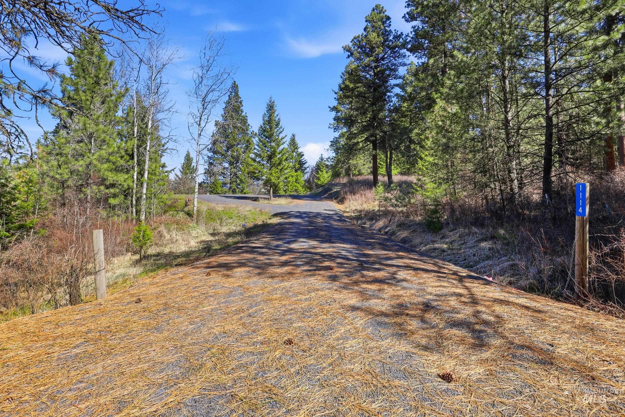 1114 Paradise Ridge Road, Moscow, Idaho 83843, Land For Sale, Price $349,000,MLS 98980093