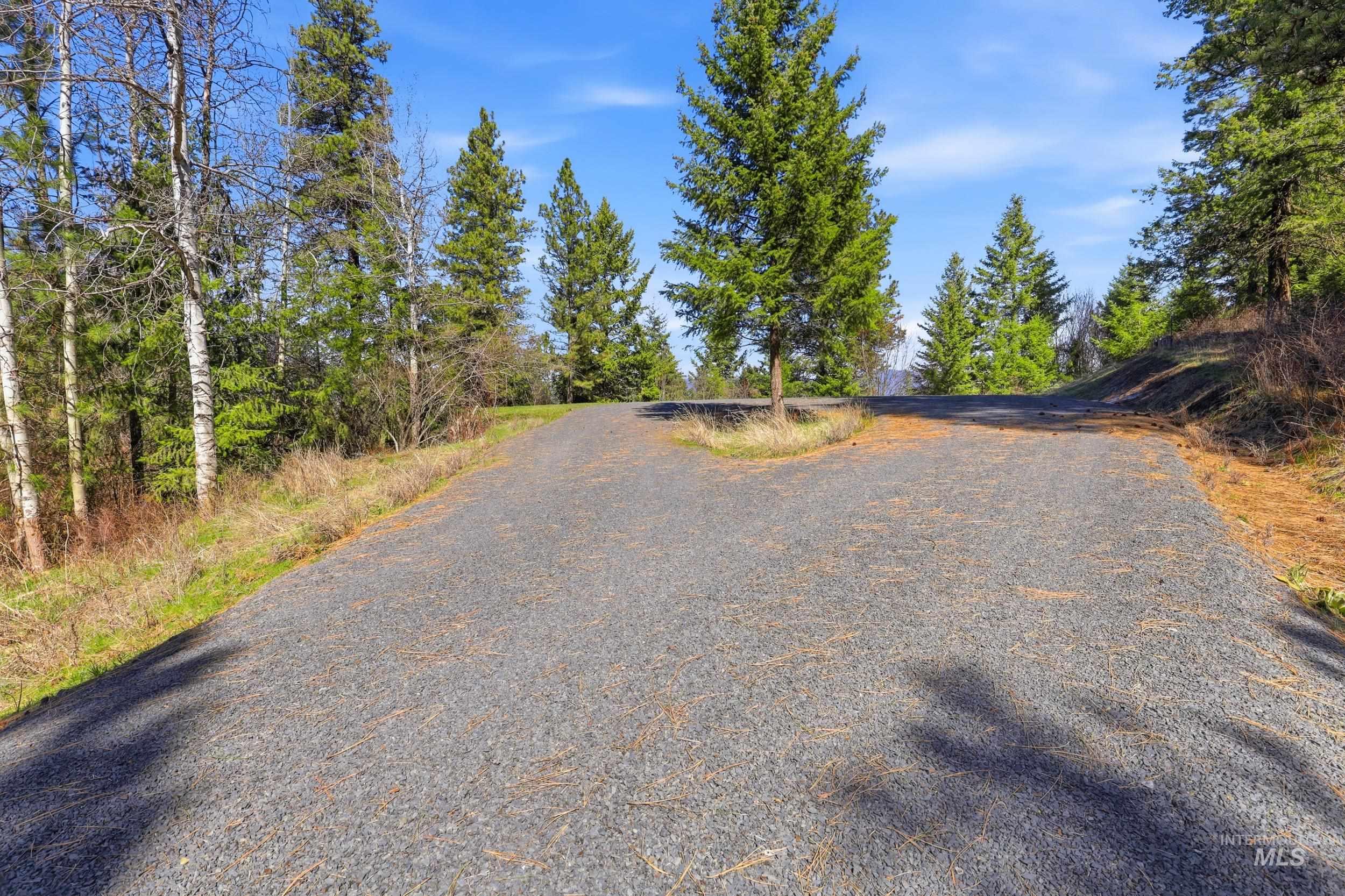 1114 Paradise Ridge Road, Moscow, Idaho 83843, Land For Sale, Price $349,000,MLS 98980093
