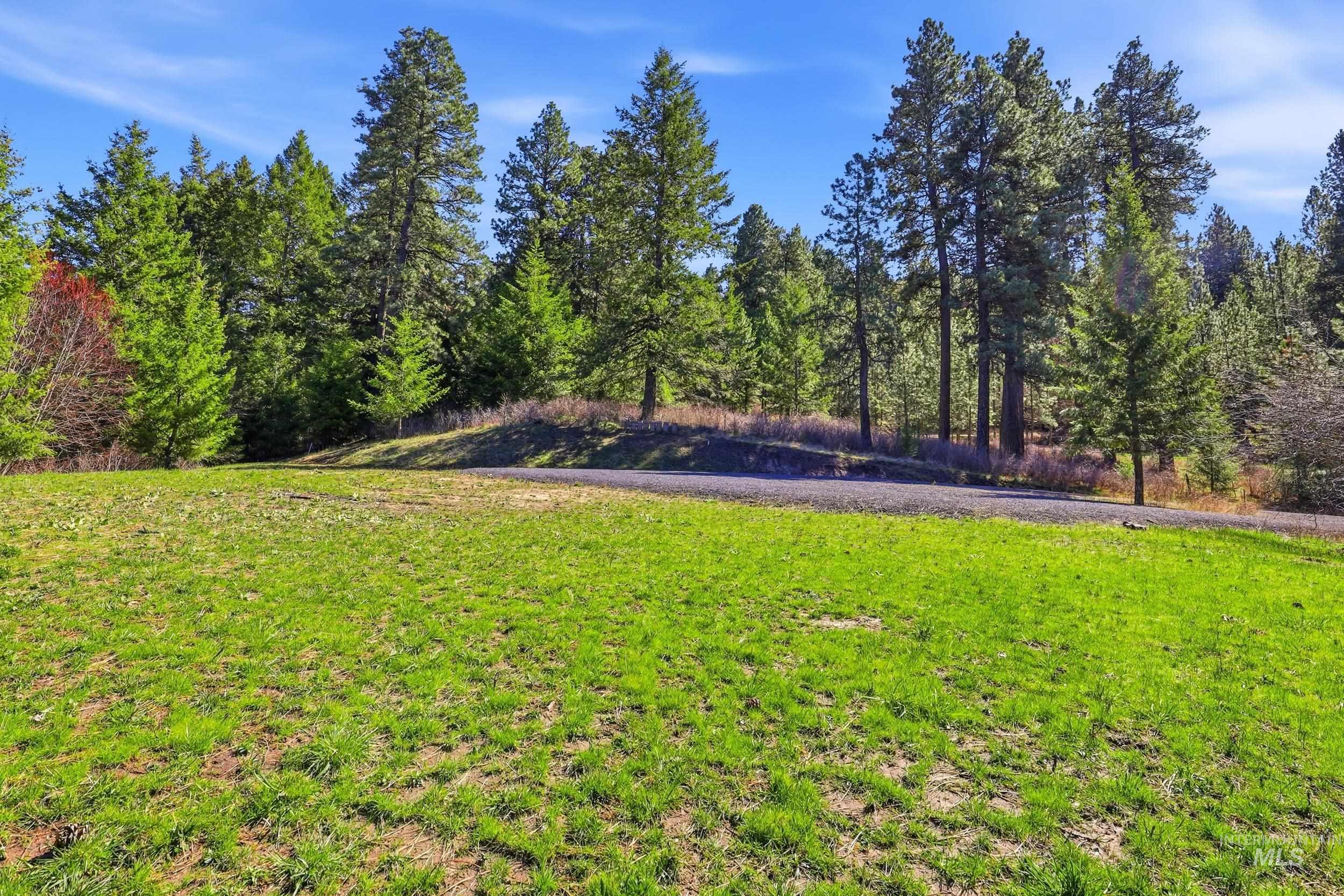 1114 Paradise Ridge Road, Moscow, Idaho 83843, Land For Sale, Price $349,000,MLS 98980093