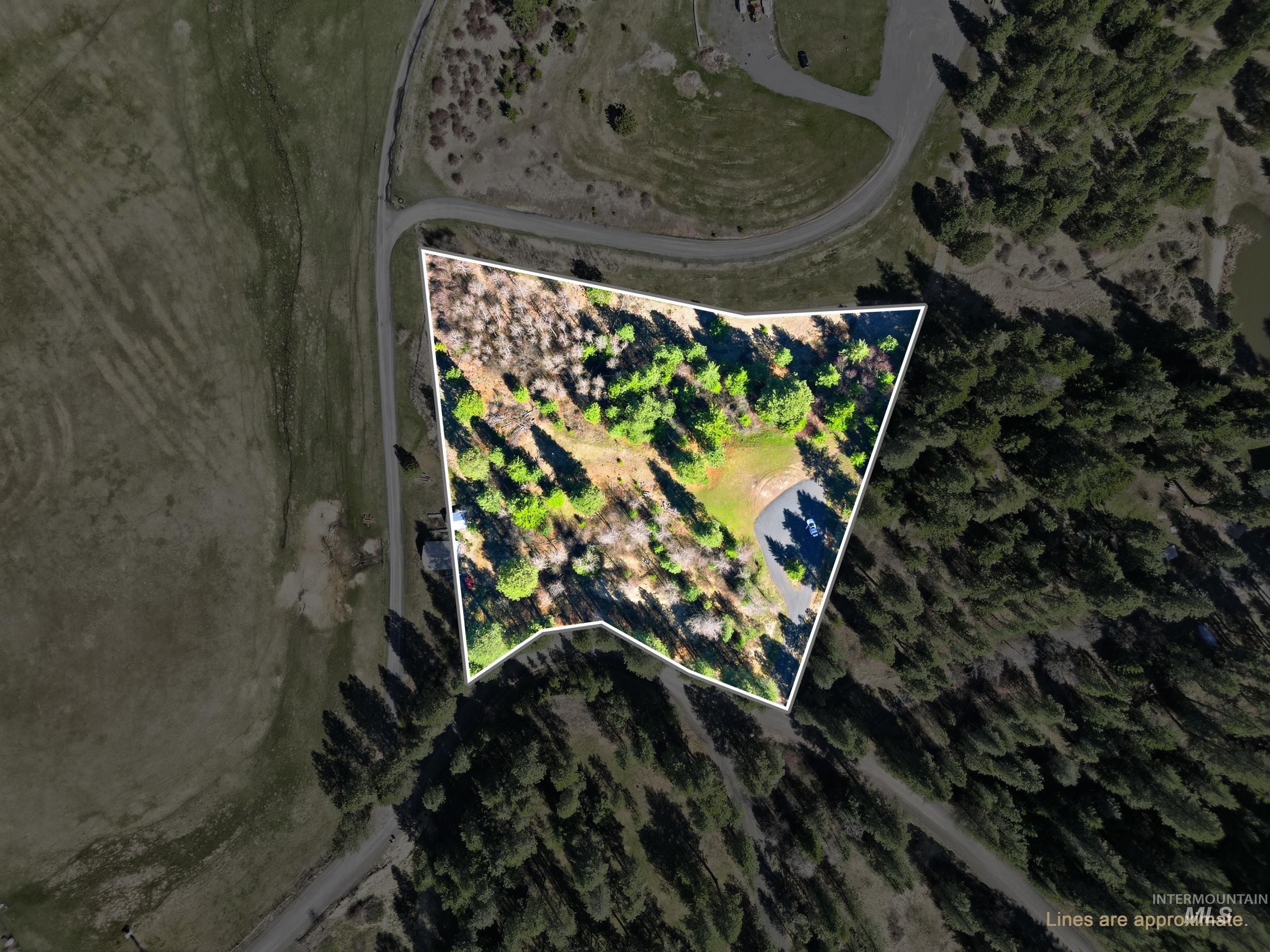 1114 Paradise Ridge Road, Moscow, Idaho 83843, Land For Sale, Price $349,000,MLS 98980093