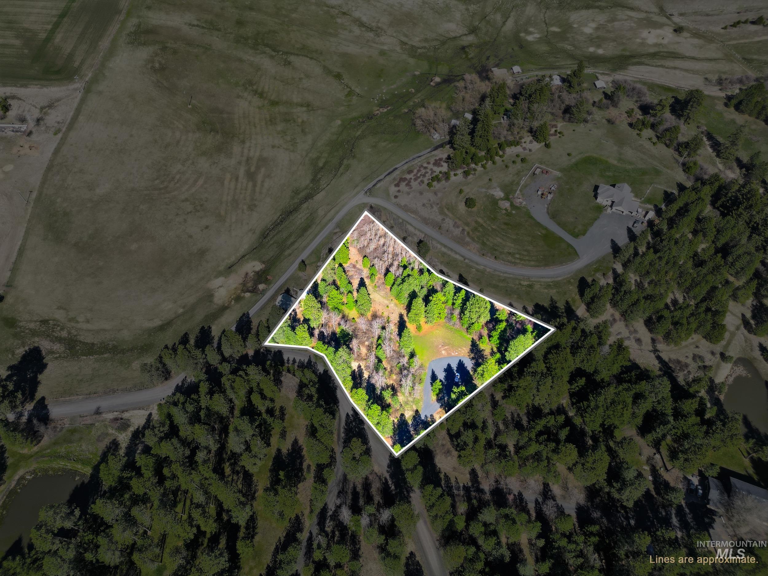 1114 Paradise Ridge Road, Moscow, Idaho 83843, Land For Sale, Price $349,000,MLS 98980093