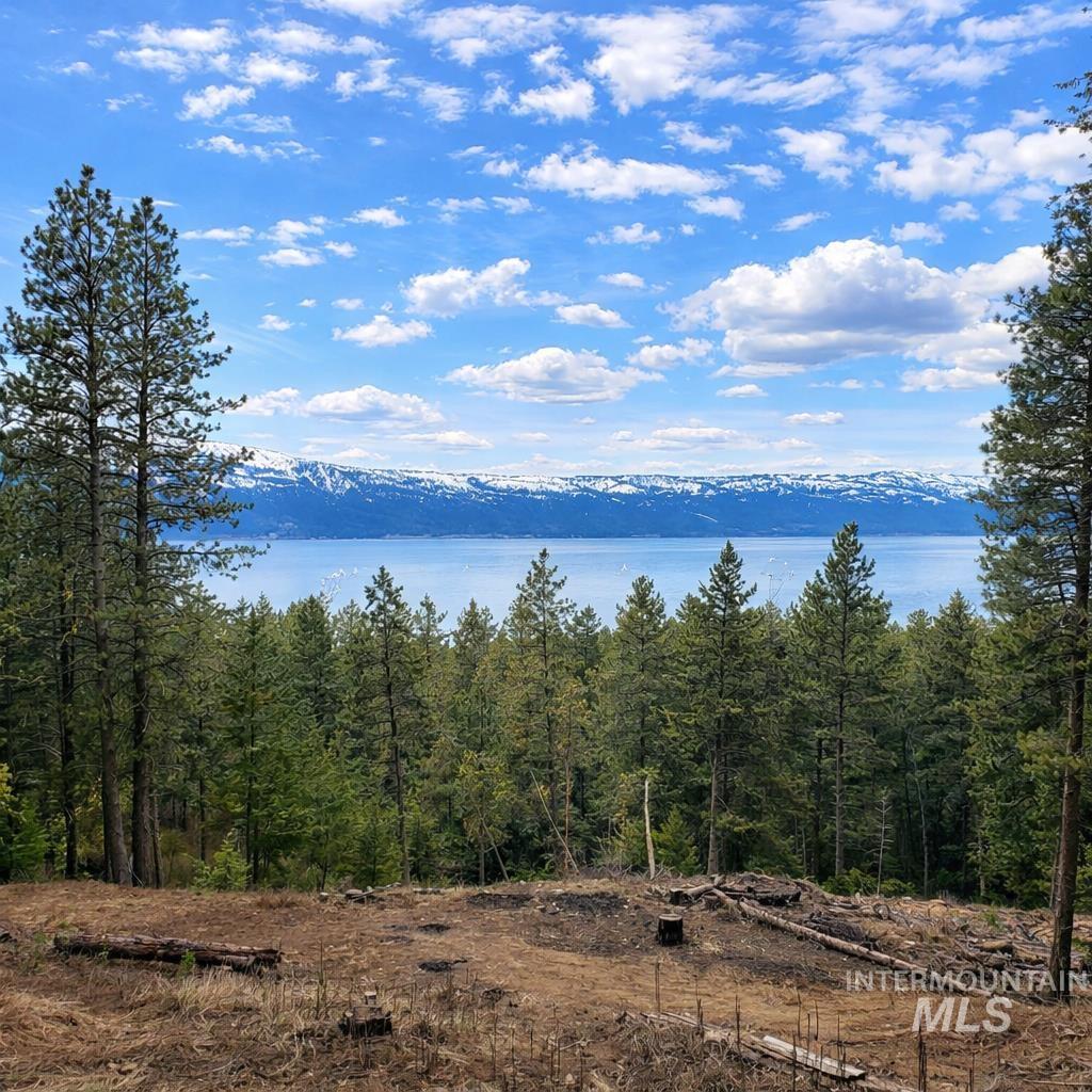 1309 Laurel Drive, Cascade, Idaho 83611, 1 Bedroom, 1 Bathroom, Residential For Sale, Price $360,000,MLS 98980104