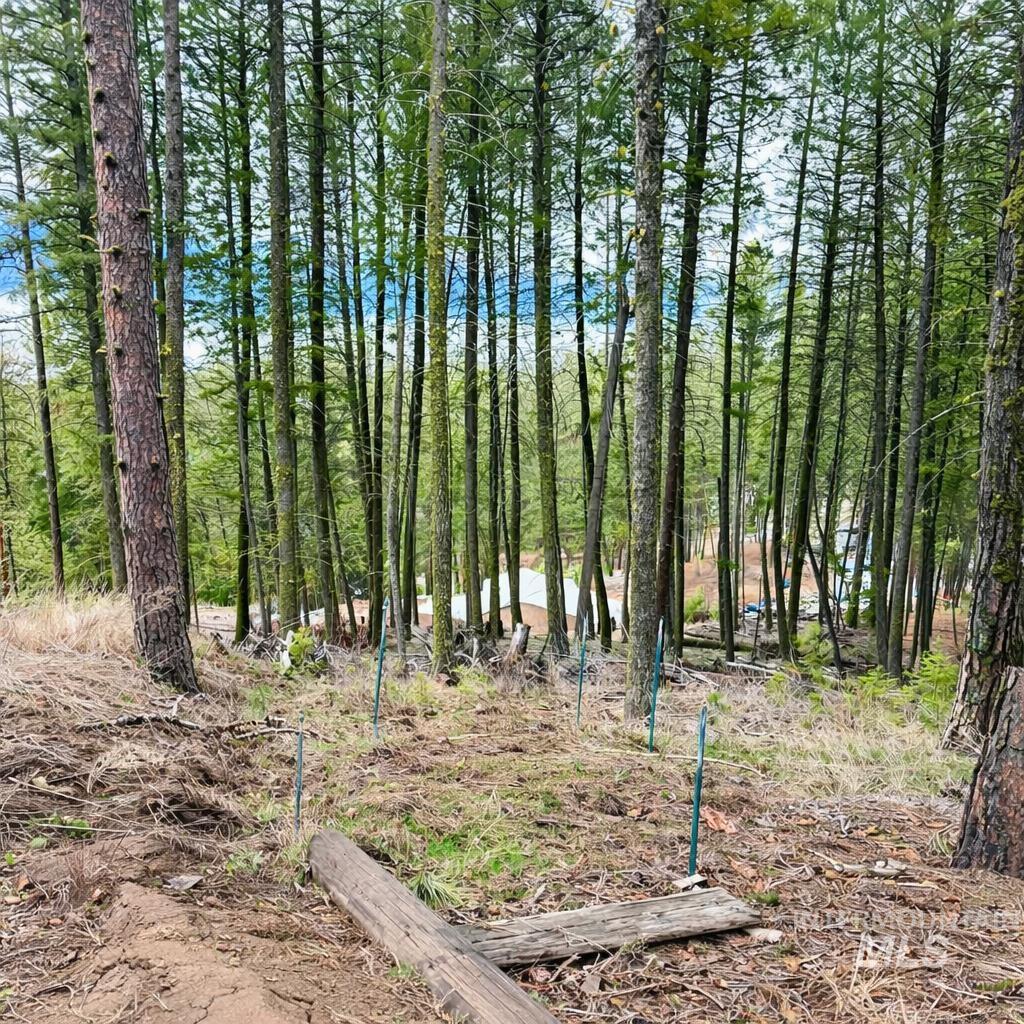 1309 Laurel Drive, Cascade, Idaho 83611, 1 Bedroom, 1 Bathroom, Residential For Sale, Price $360,000,MLS 98980104