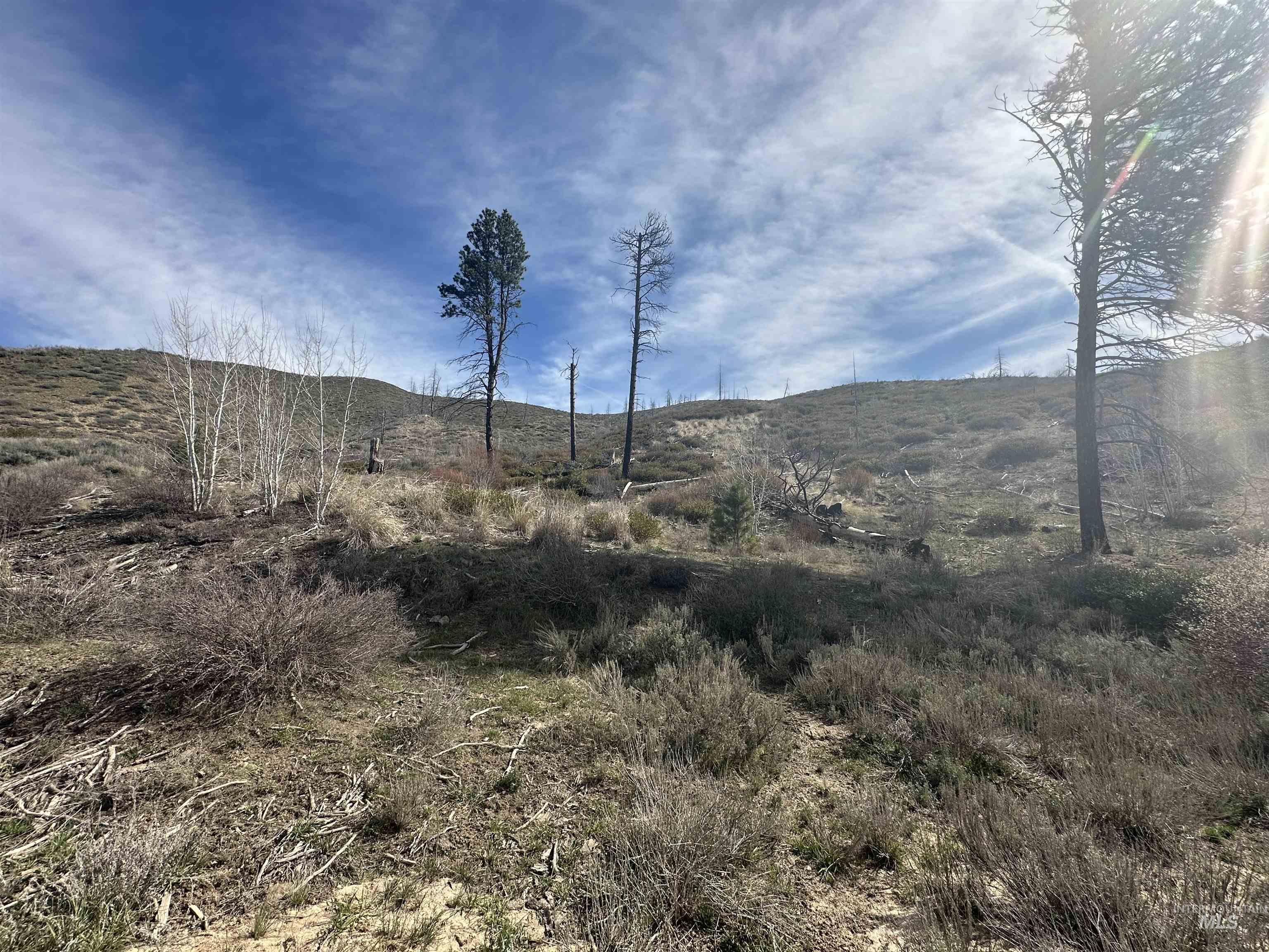 TBD Lester Creek Rd, Pine, Idaho 83647, Land For Sale, Price $600,000, 98980113