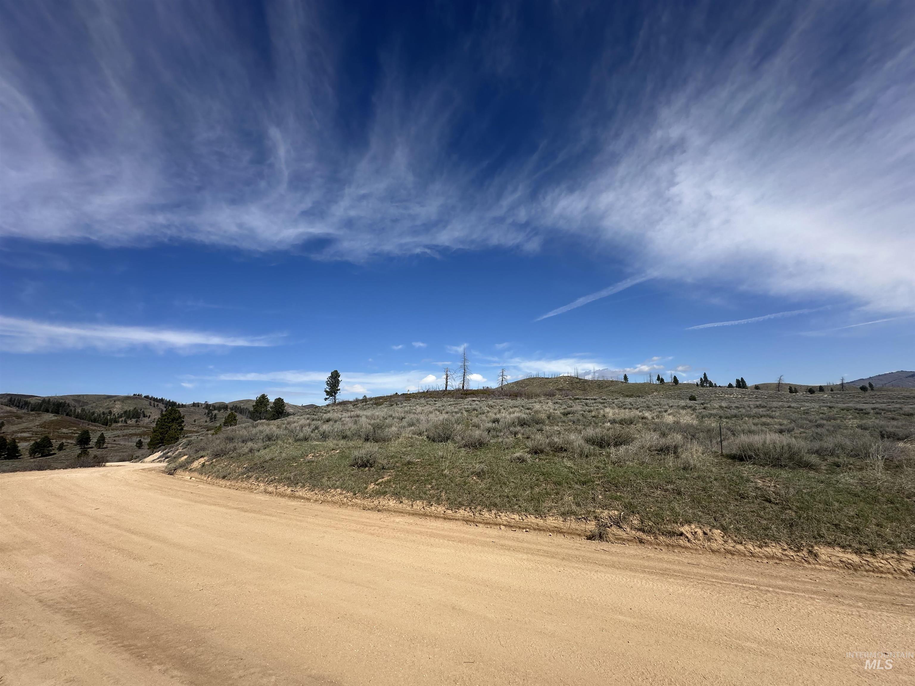 TBD Lester Creek Rd, Pine, Idaho 83647, Land For Sale, Price $600,000, 98980113