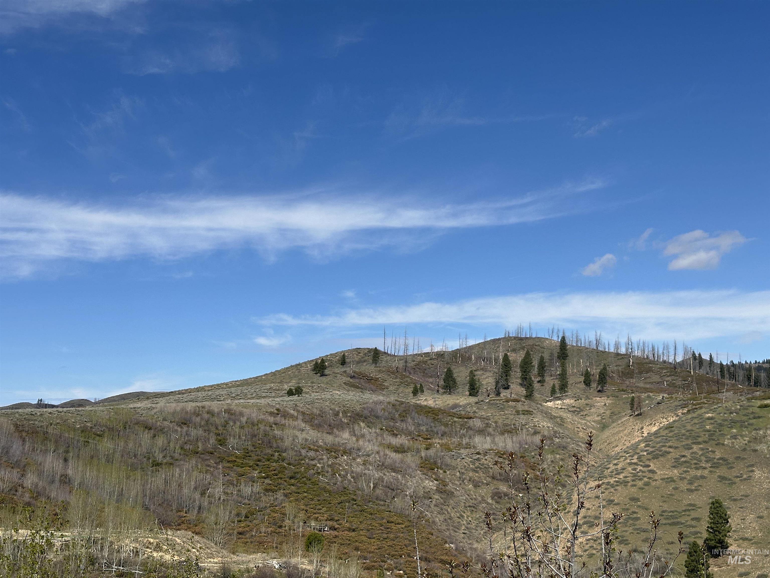 TBD Lester Creek Rd, Pine, Idaho 83647, Land For Sale, Price $600,000, 98980113