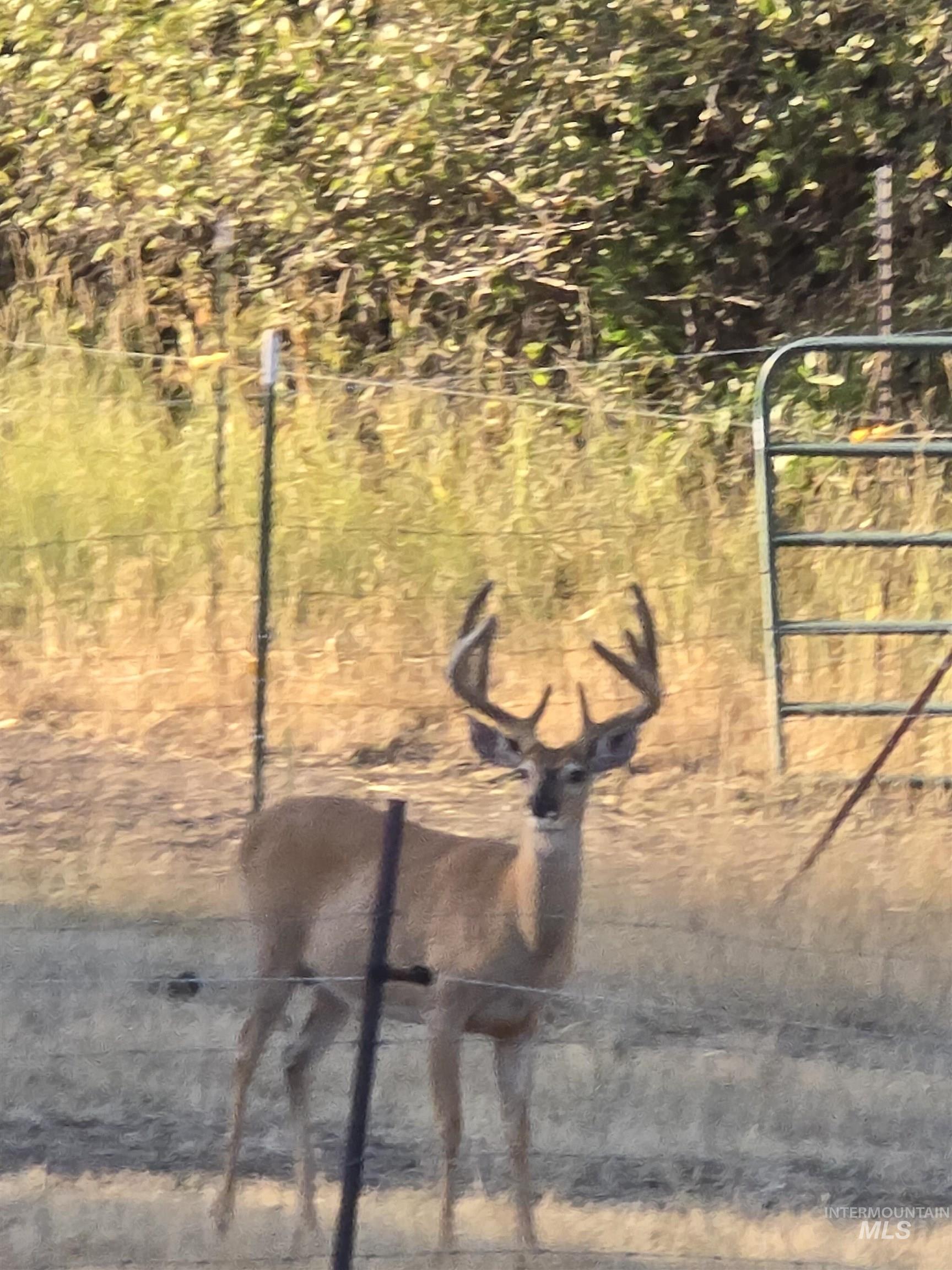 5371 Upper Fords Creek, Orofino, Idaho 83544, 2 Bedrooms, 3.5 Bathrooms, Residential For Sale, Price $1,500,000,MLS 98980115
