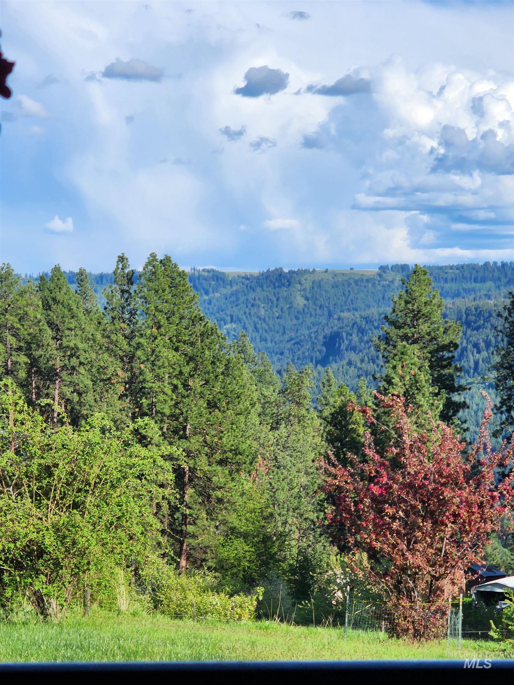 5371 Upper Fords Creek, Orofino, Idaho 83544, 2 Bedrooms, 3.5 Bathrooms, Residential For Sale, Price $1,500,000,MLS 98980115