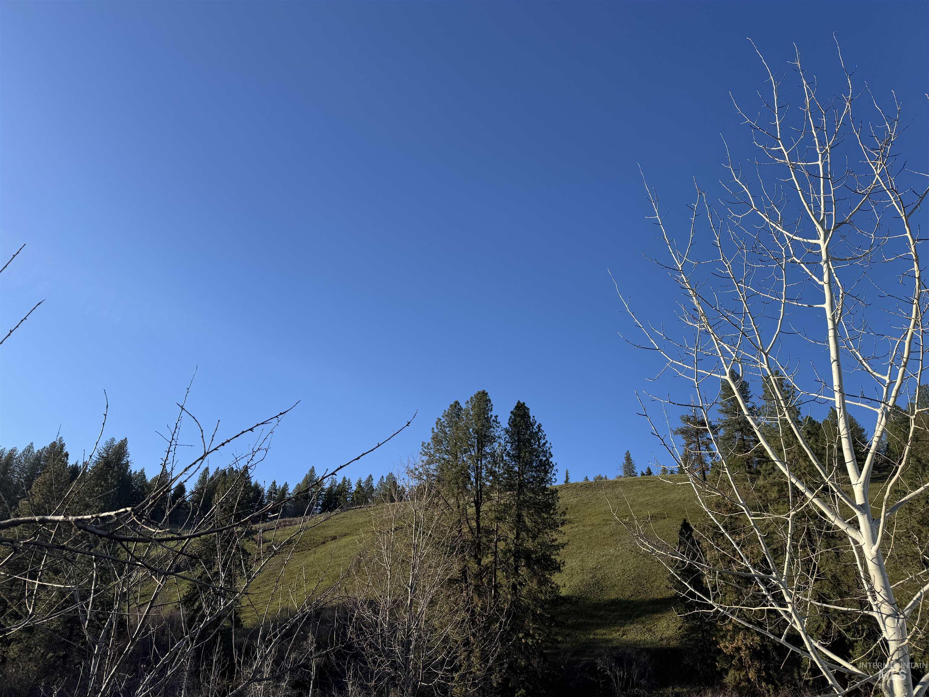 5371 Upper Fords Creek, Orofino, Idaho 83544, 2 Bedrooms, 3.5 Bathrooms, Residential For Sale, Price $1,500,000,MLS 98980115