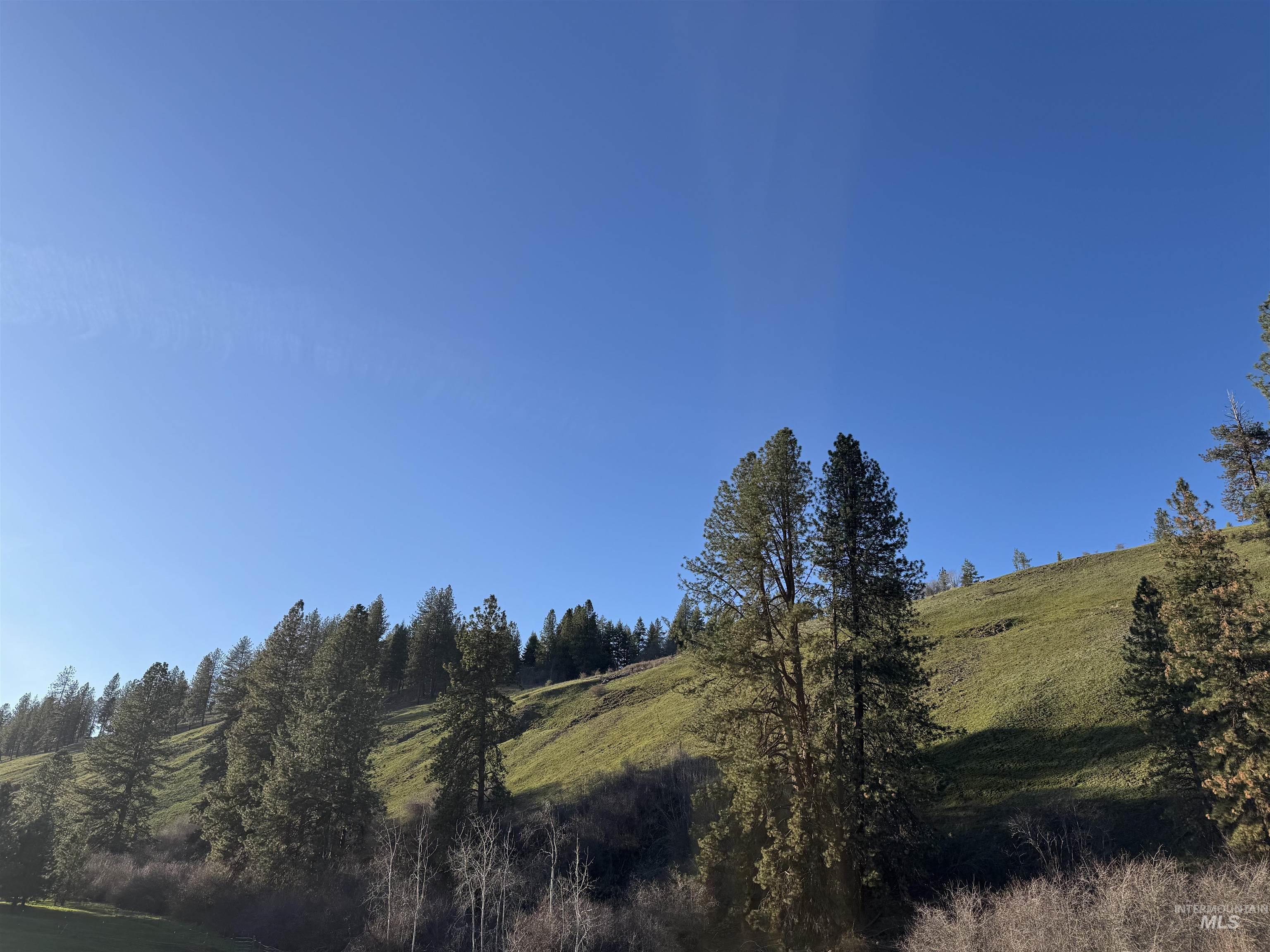 5371 Upper Fords Creek, Orofino, Idaho 83544, 2 Bedrooms, 3.5 Bathrooms, Residential For Sale, Price $1,500,000,MLS 98980115