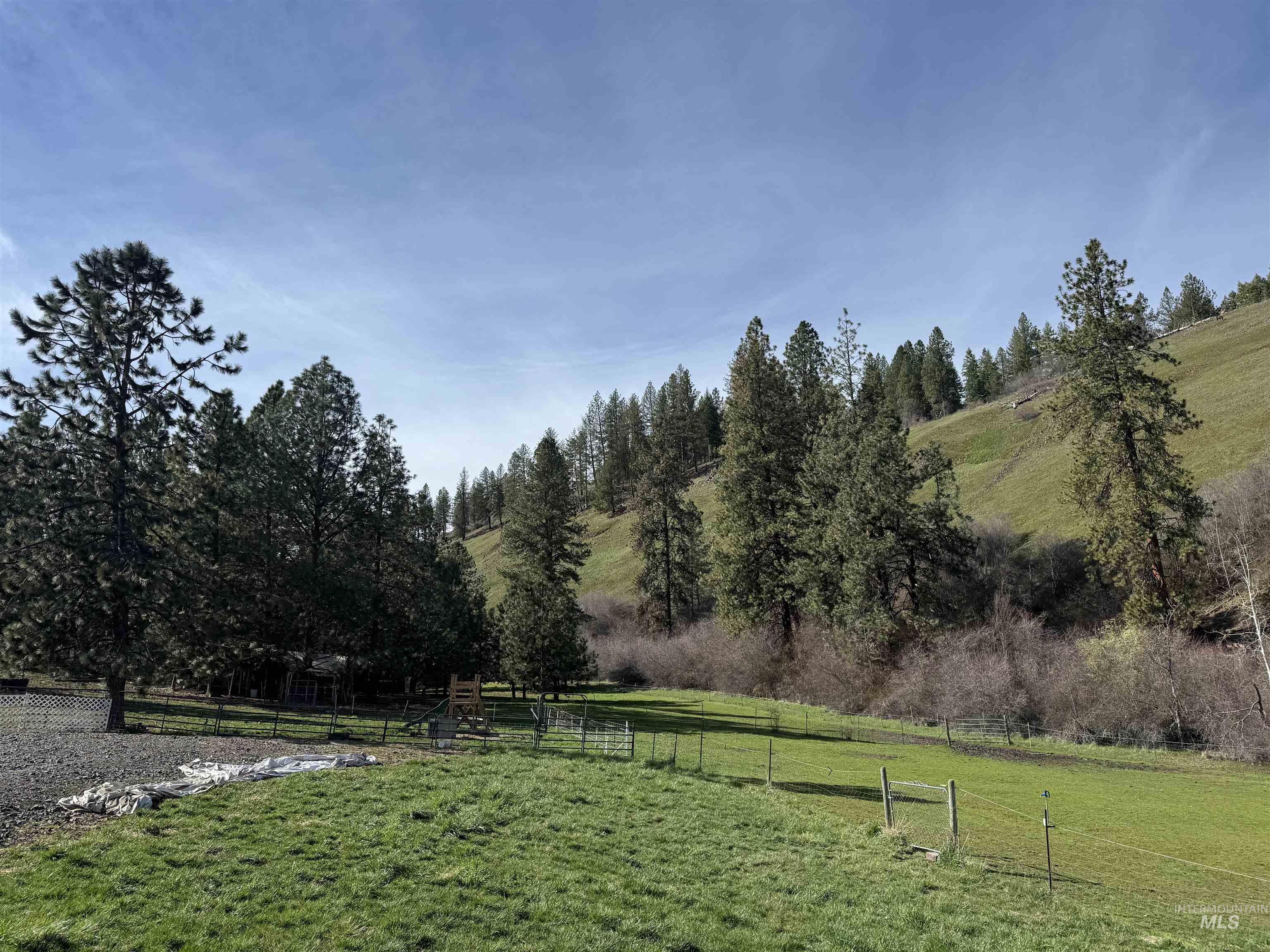 5371 Upper Fords Creek, Orofino, Idaho 83544, 2 Bedrooms, 3.5 Bathrooms, Residential For Sale, Price $1,500,000,MLS 98980115