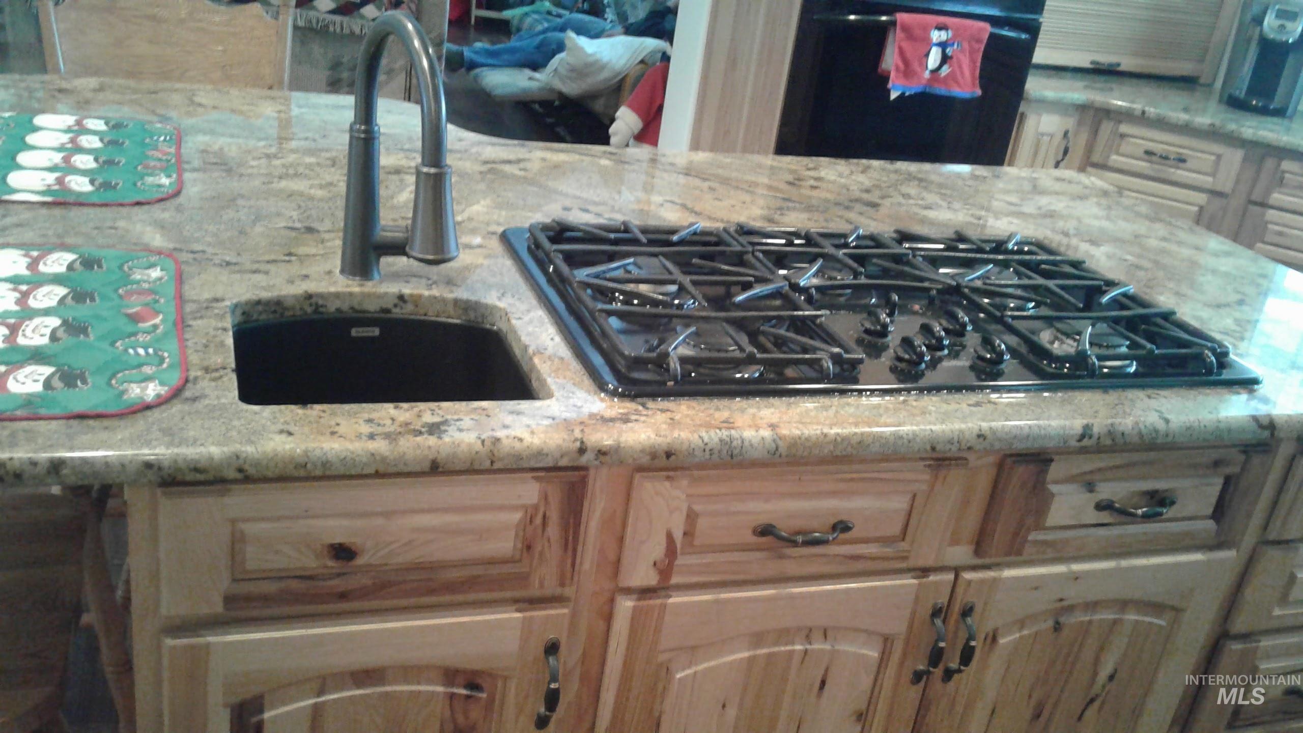 5371 Upper Fords Creek, Orofino, Idaho 83544, 2 Bedrooms, 3.5 Bathrooms, Residential For Sale, Price $1,500,000,MLS 98980115