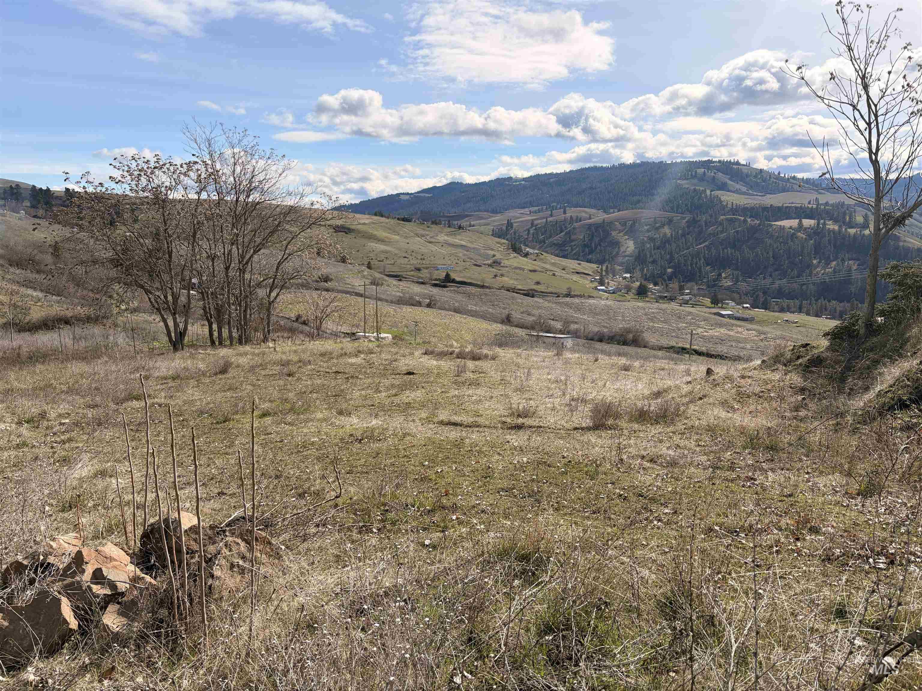 36171 River Rd, Lenore, Idaho 83541, Land For Sale, Price $225,000,MLS 98980119