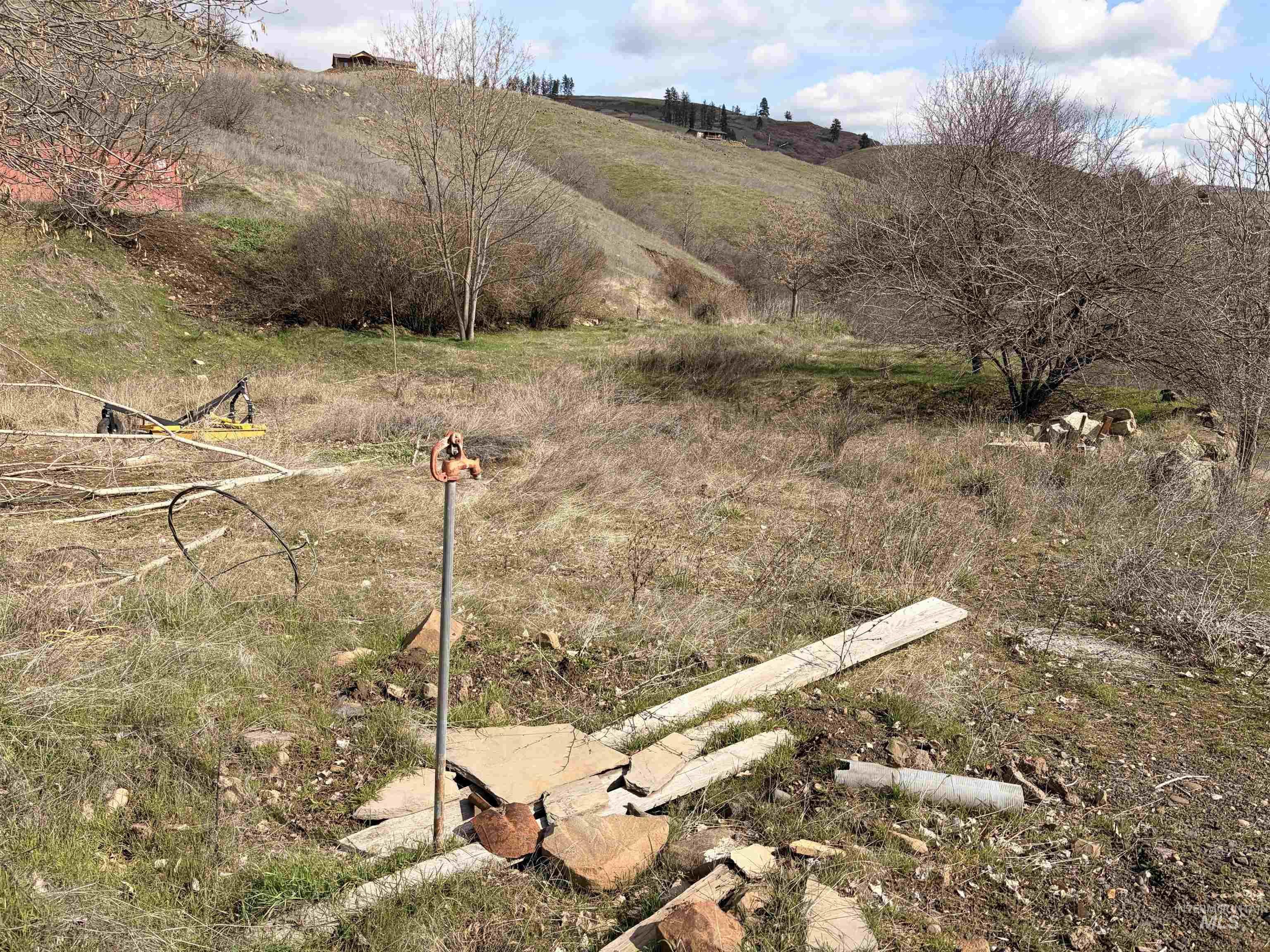 36171 River Rd, Lenore, Idaho 83541, Land For Sale, Price $225,000,MLS 98980119