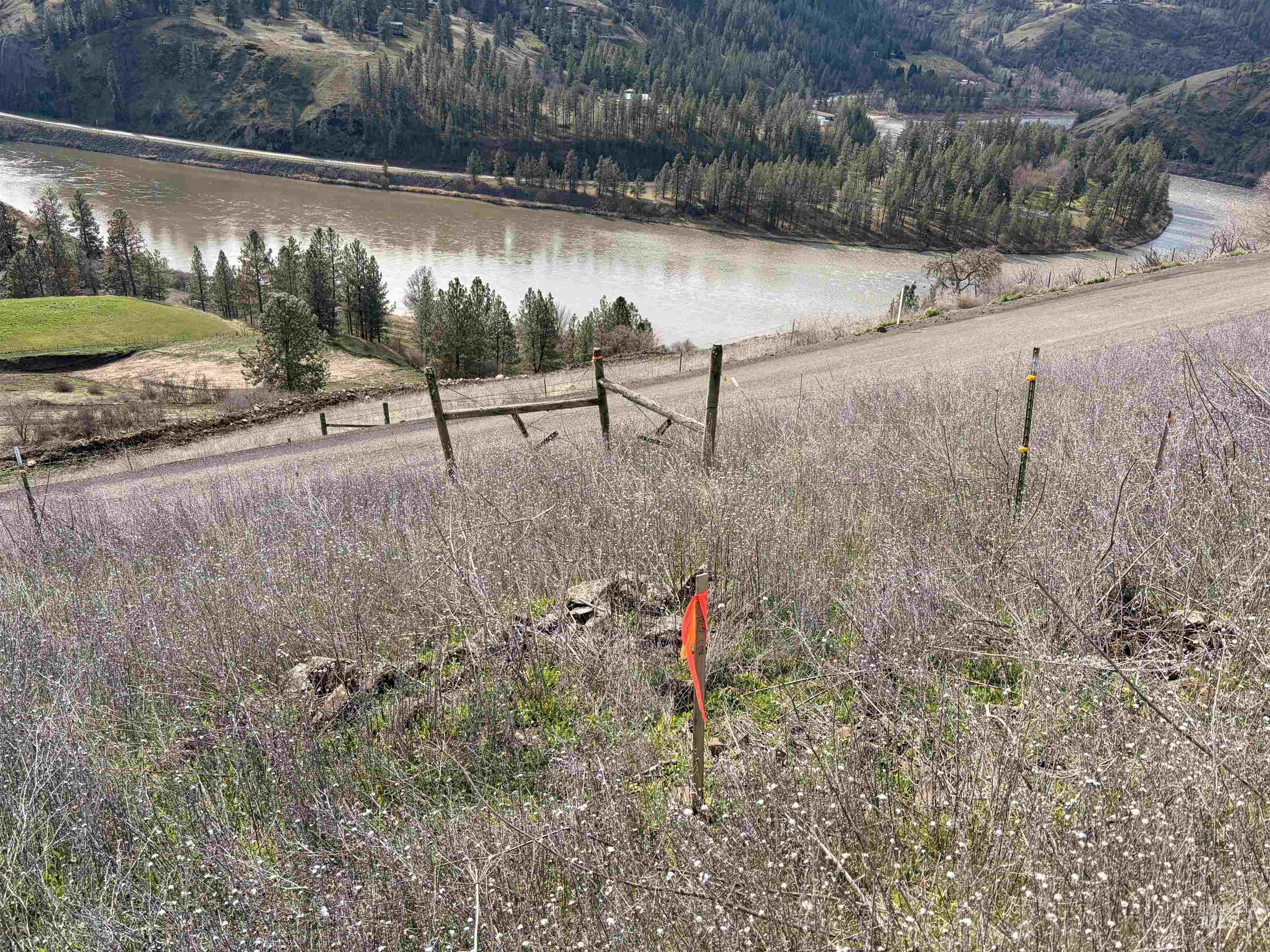 36171 River Rd, Lenore, Idaho 83541, Land For Sale, Price $225,000,MLS 98980119