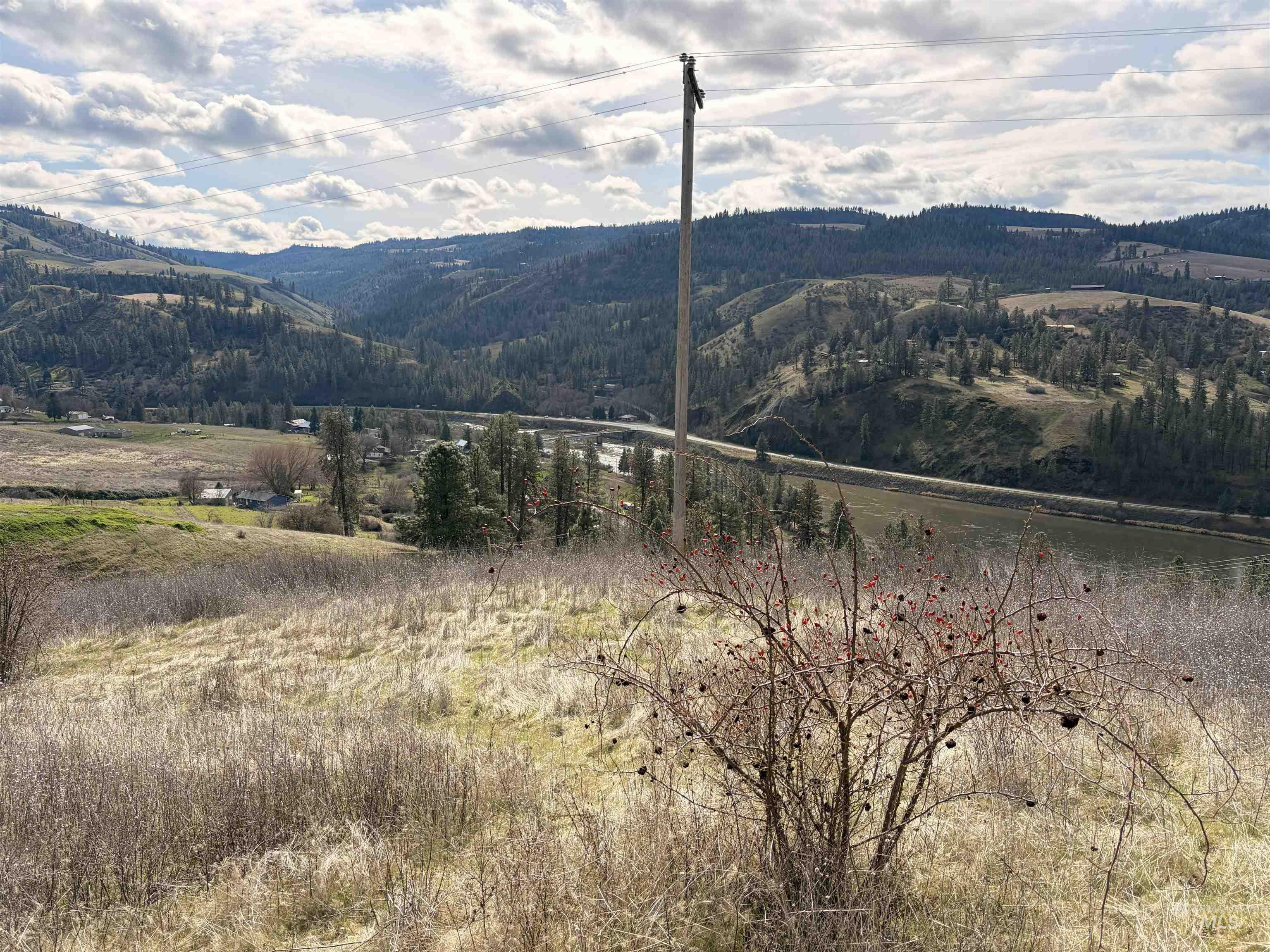 36171 River Rd, Lenore, Idaho 83541, Land For Sale, Price $225,000,MLS 98980119