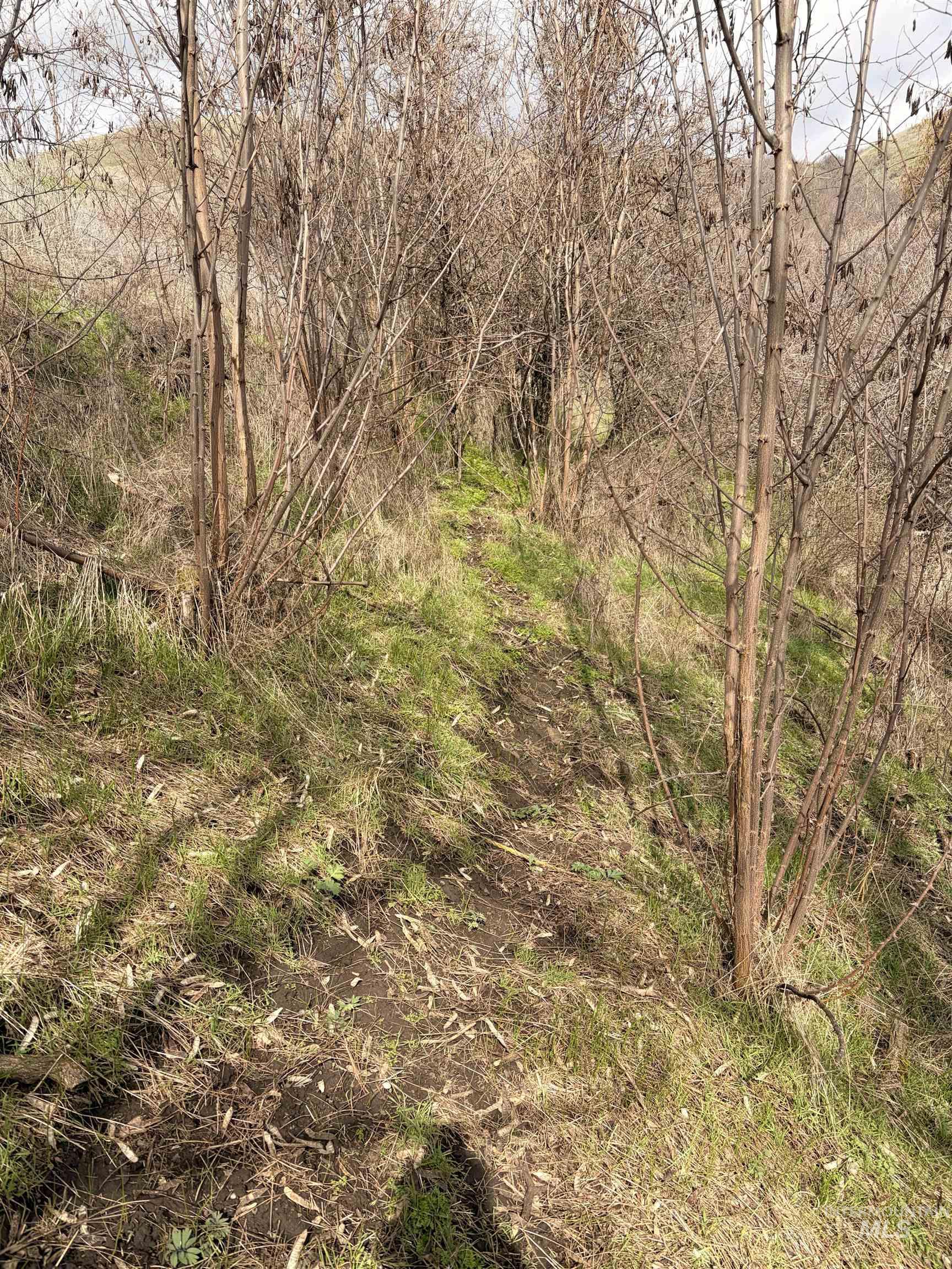 36171 River Rd, Lenore, Idaho 83541, Land For Sale, Price $225,000,MLS 98980119