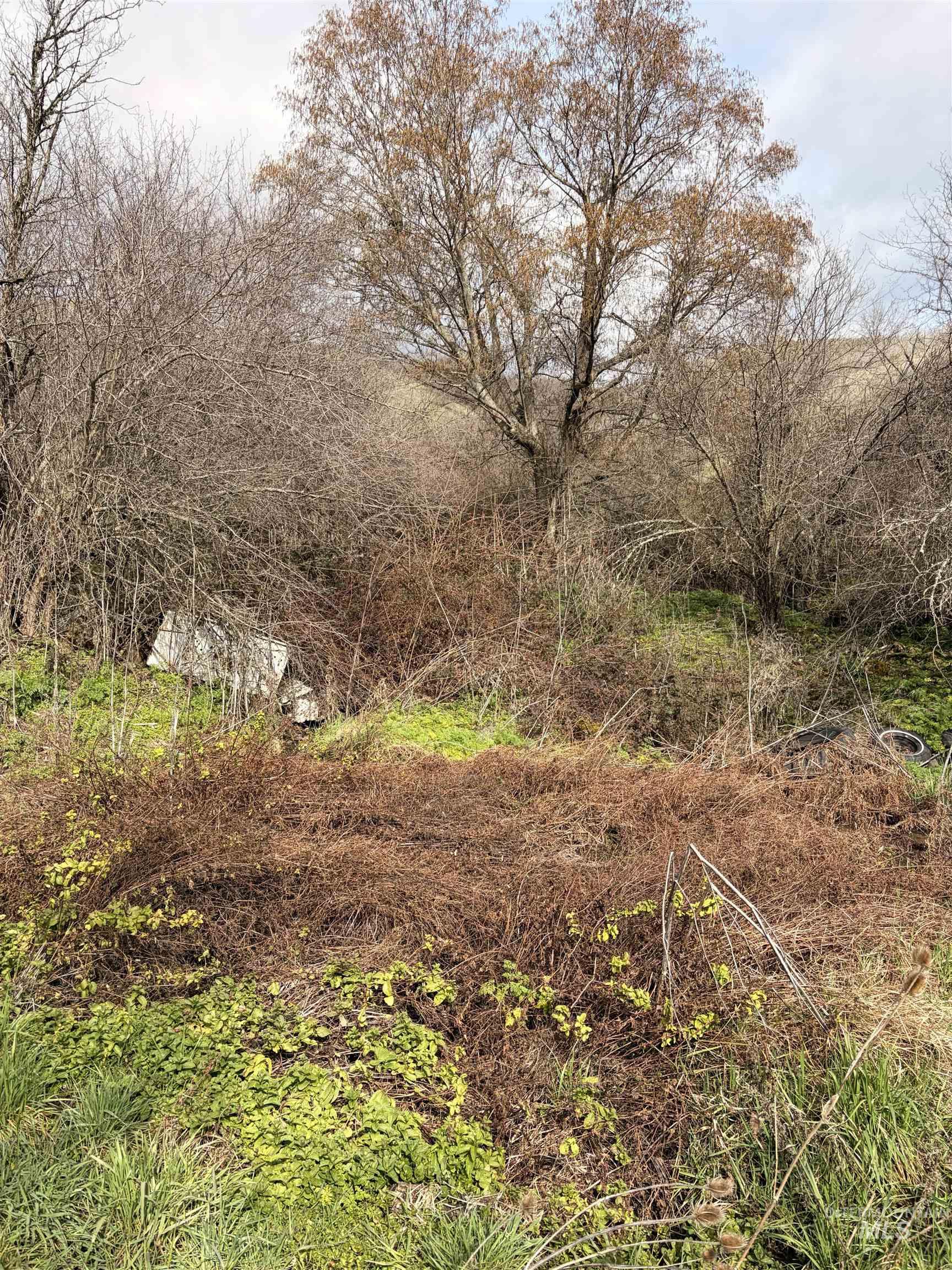 36171 River Rd, Lenore, Idaho 83541, Land For Sale, Price $225,000,MLS 98980119