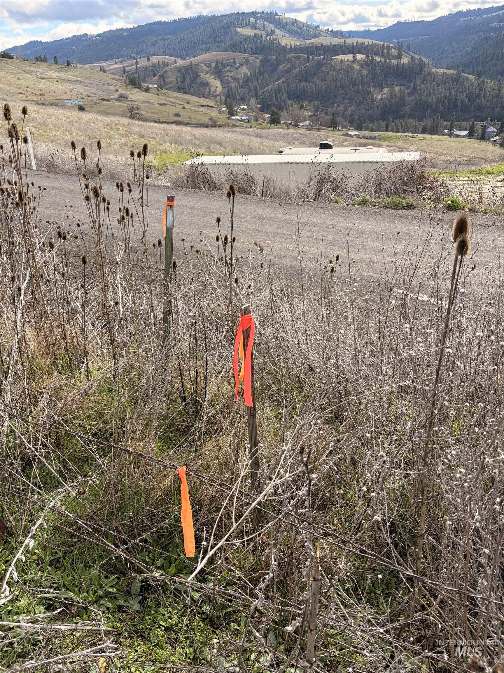 36171 River Rd, Lenore, Idaho 83541, Land For Sale, Price $225,000,MLS 98980119