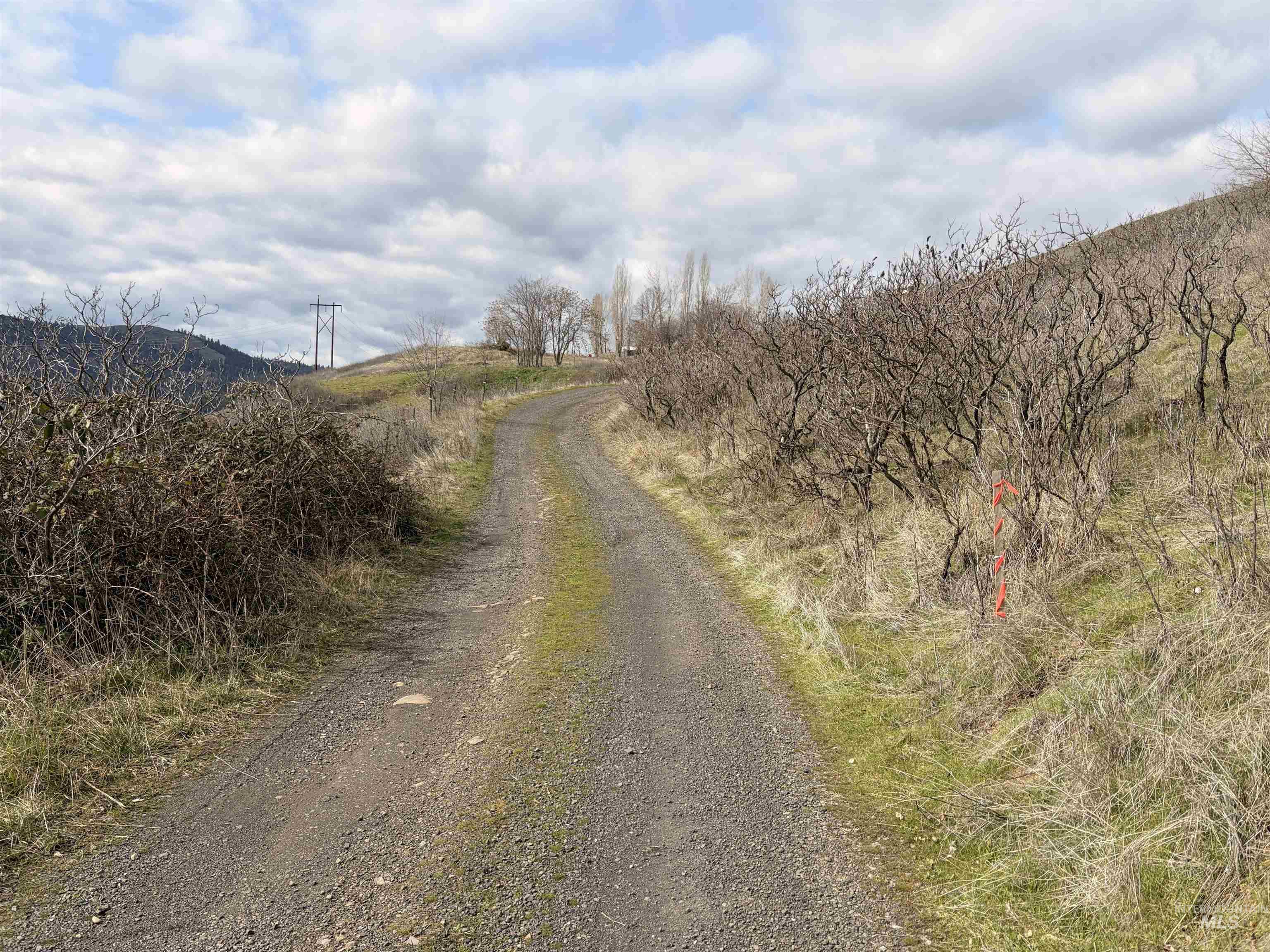 36171 River Rd, Lenore, Idaho 83541, Land For Sale, Price $225,000,MLS 98980119