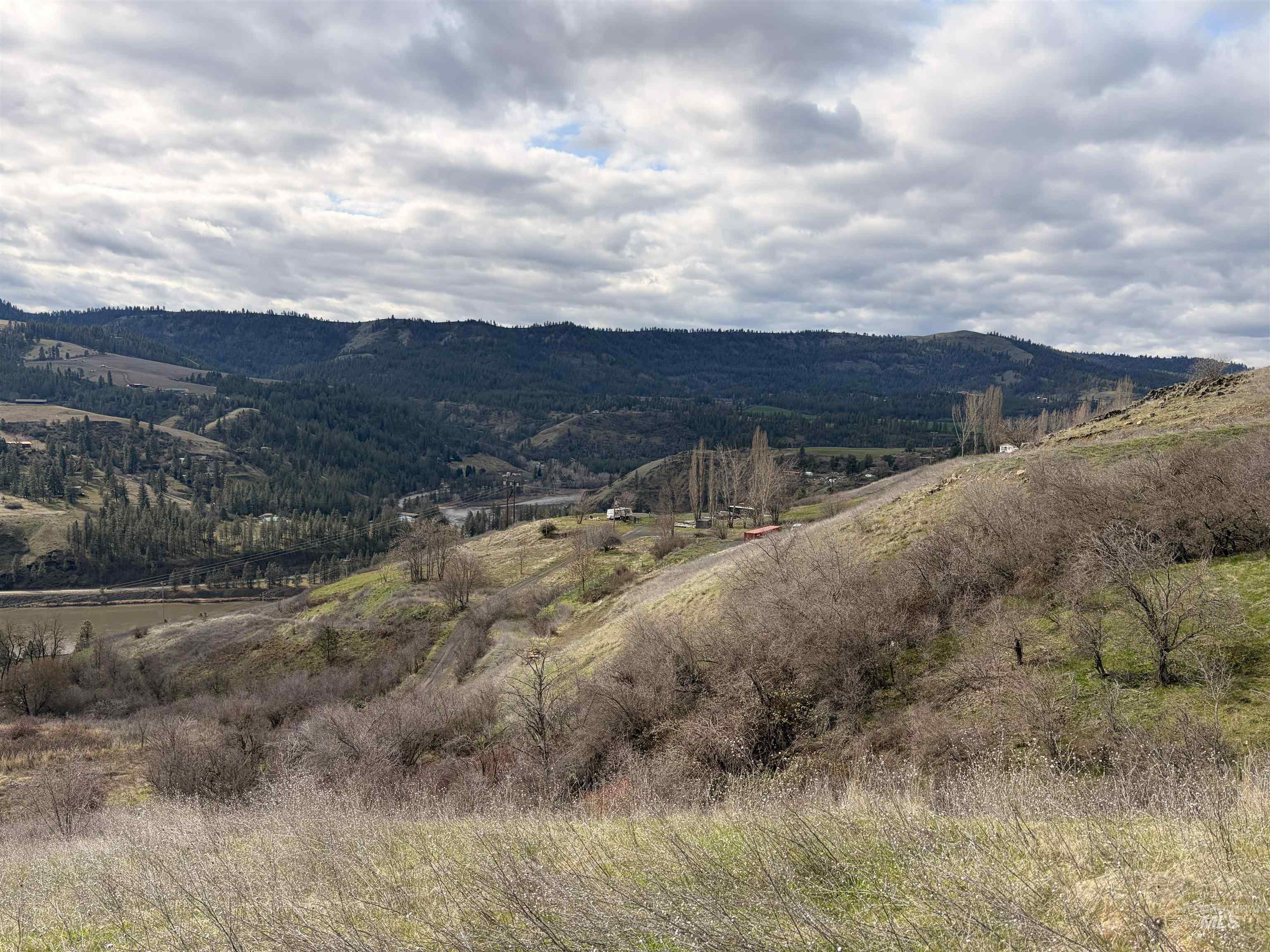 36171 River Rd, Lenore, Idaho 83541, Land For Sale, Price $225,000,MLS 98980119