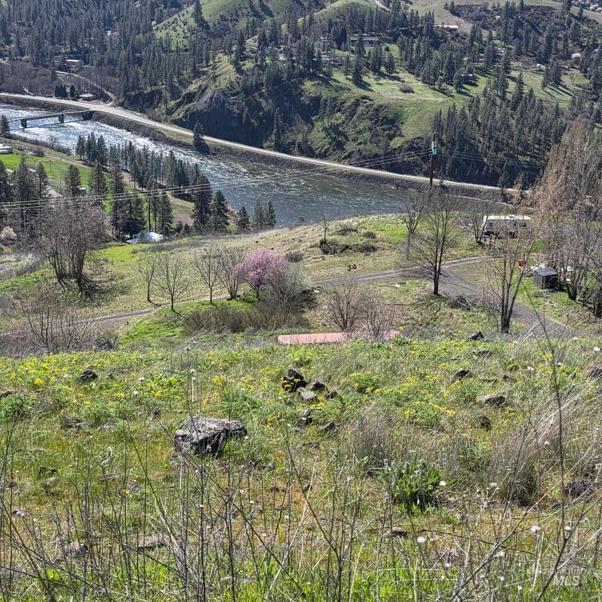 36171 River Rd, Lenore, Idaho 83541, Land For Sale, Price $225,000,MLS 98980119