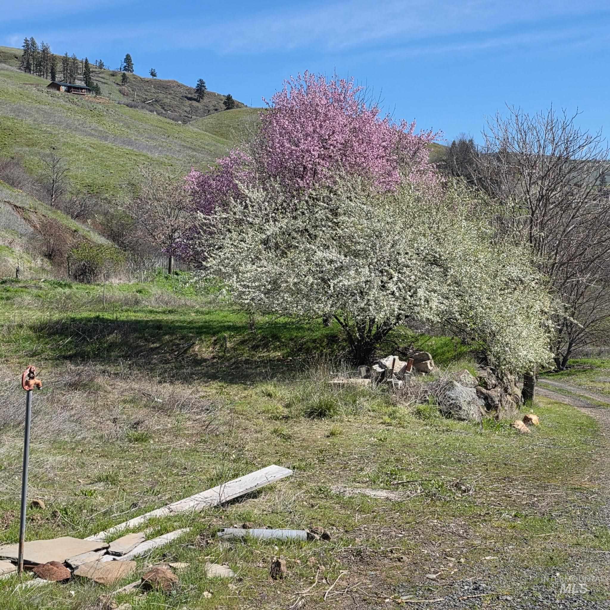 36171 River Rd, Lenore, Idaho 83541, Land For Sale, Price $225,000,MLS 98980119