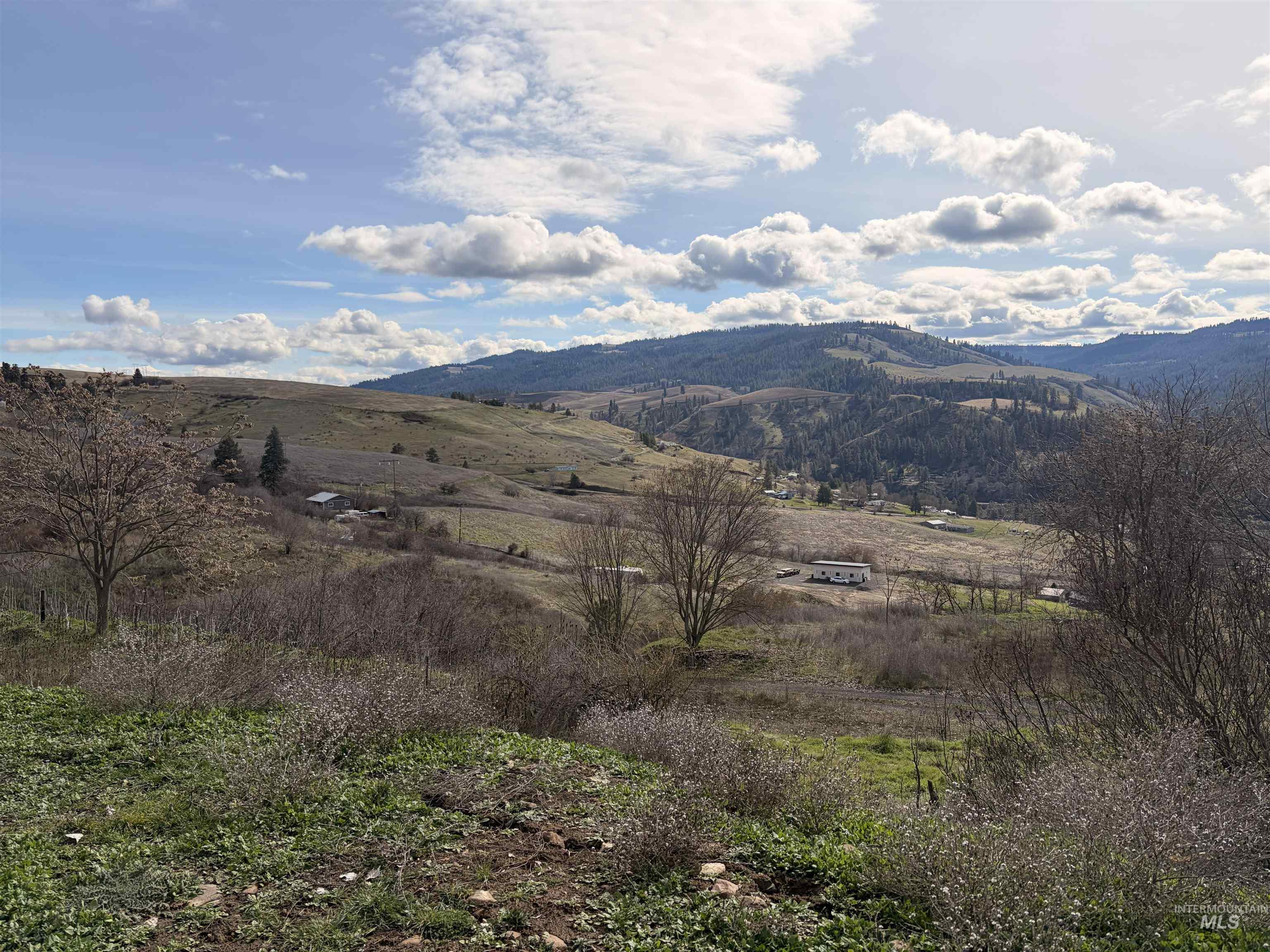 36171 River Rd, Lenore, Idaho 83541, Land For Sale, Price $225,000,MLS 98980119