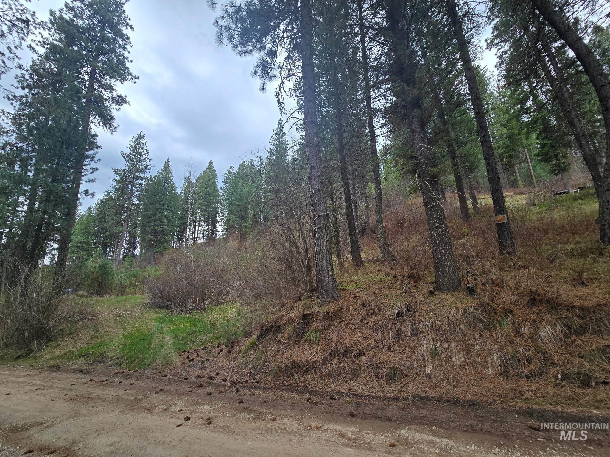 39 Beaver Creek, Boise, Idaho 83716, Land For Sale, Price $119,000,MLS 98980123