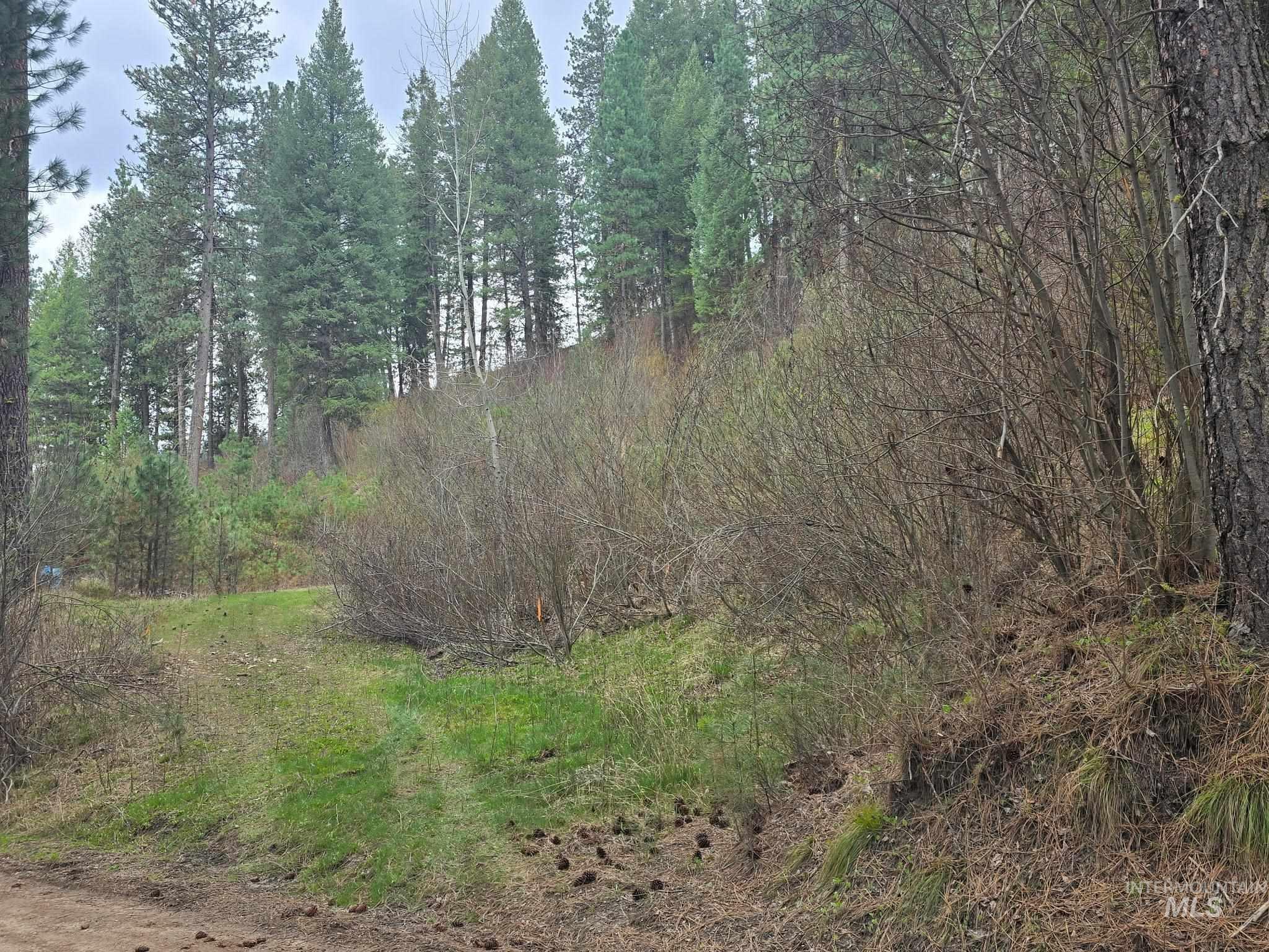 39 Beaver Creek, Boise, Idaho 83716, Land For Sale, Price $119,000,MLS 98980123