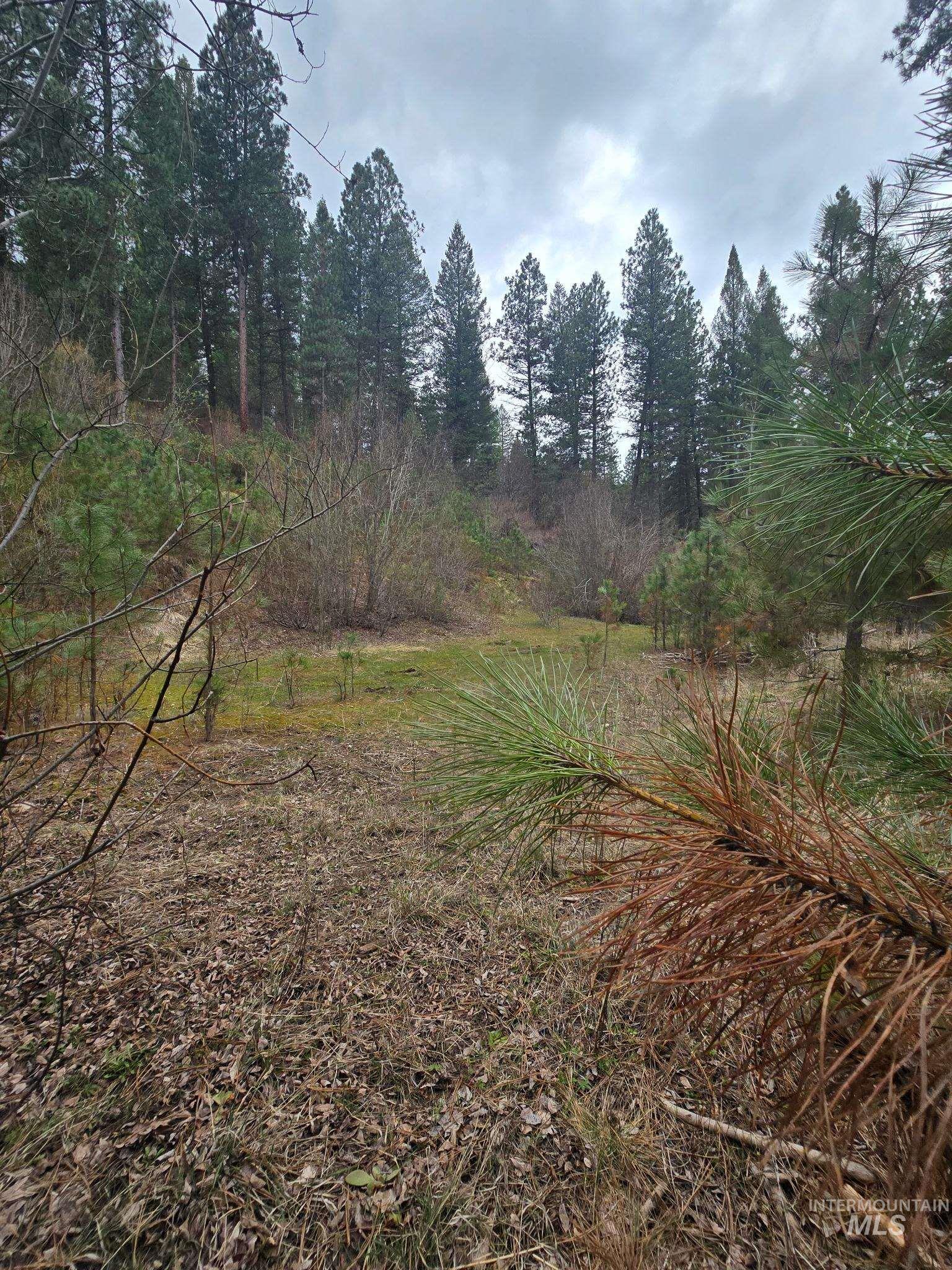 39 Beaver Creek, Boise, Idaho 83716, Land For Sale, Price $119,000,MLS 98980123