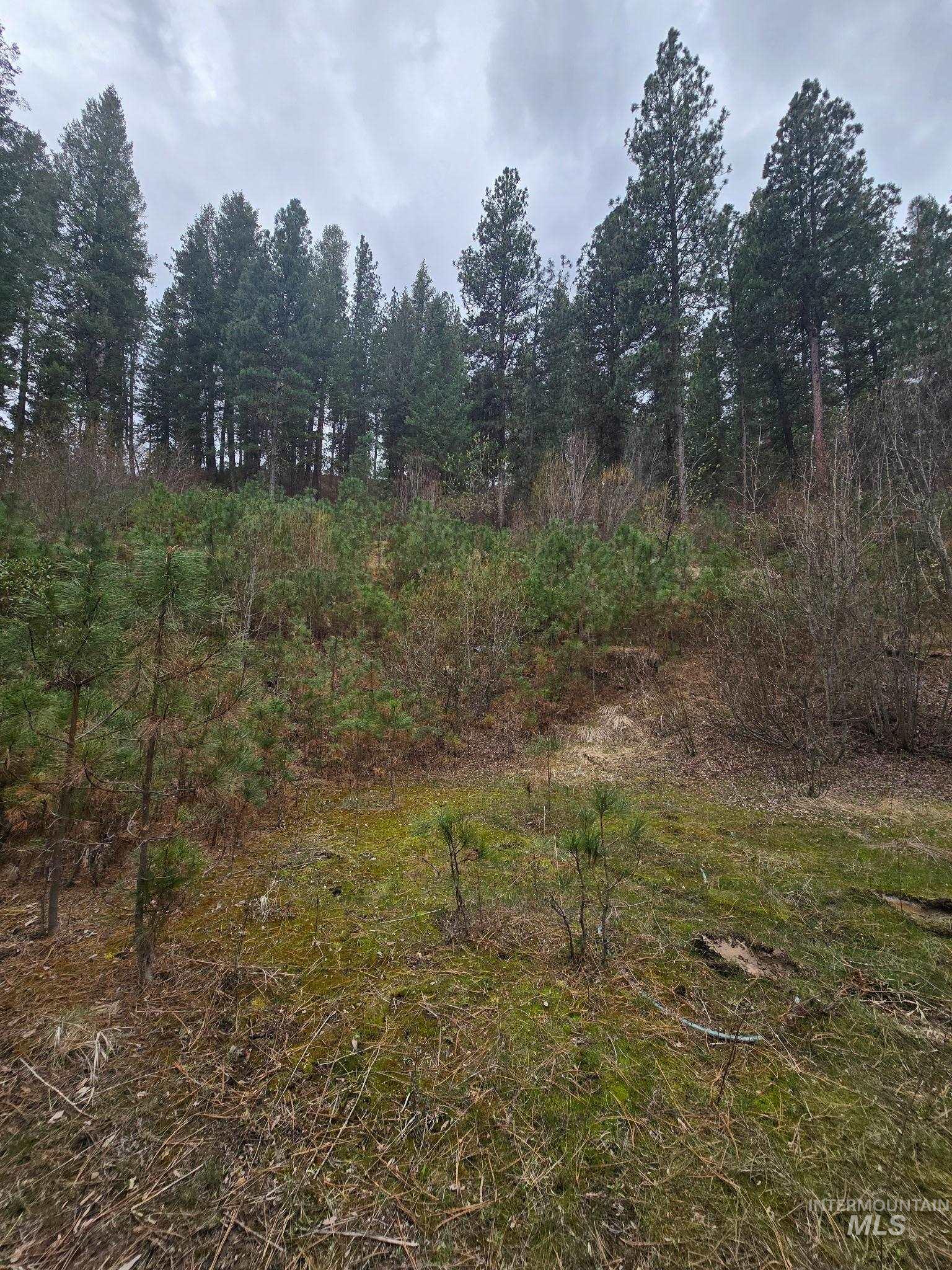 39 Beaver Creek, Boise, Idaho 83716, Land For Sale, Price $119,000,MLS 98980123