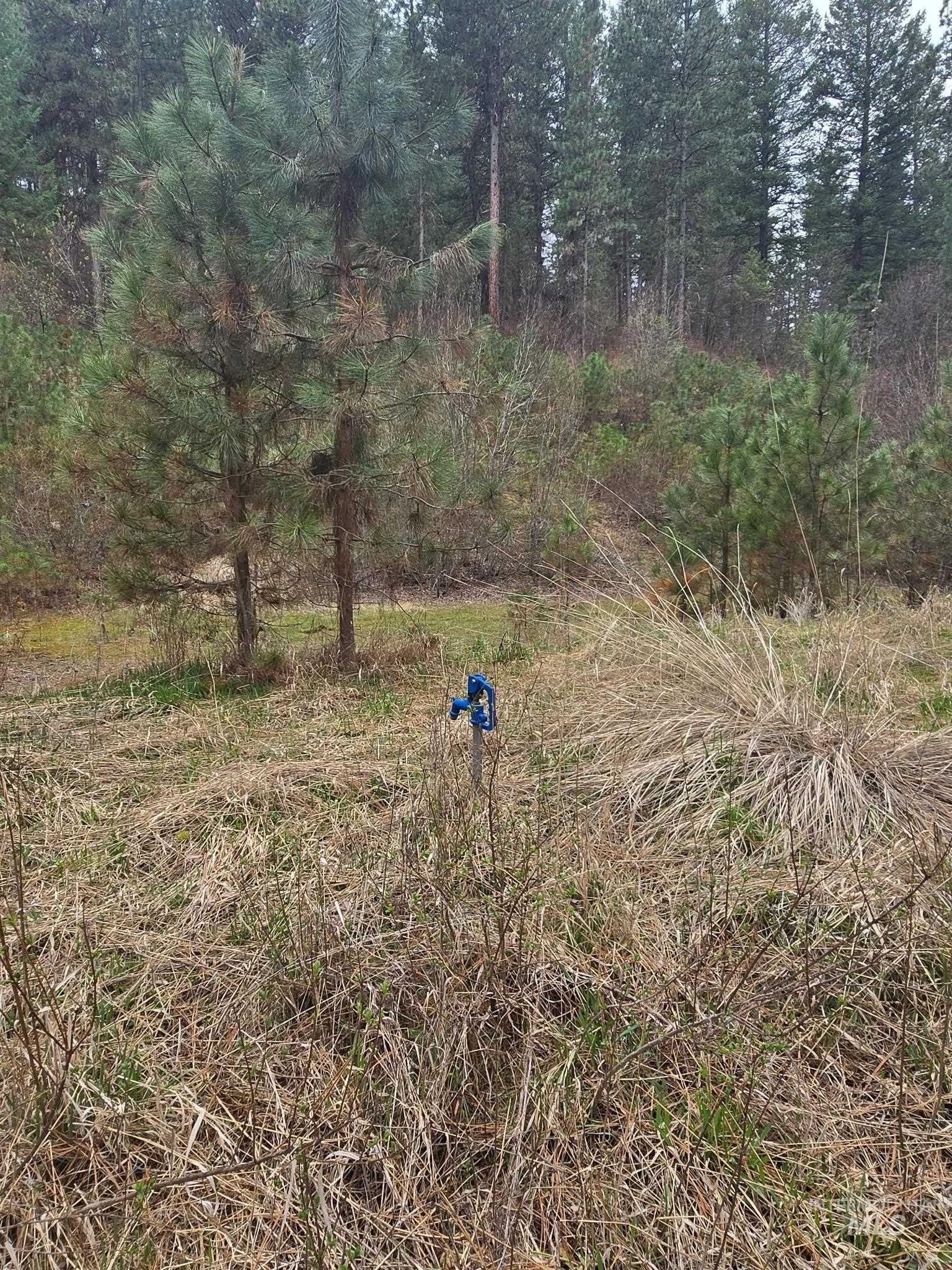 39 Beaver Creek, Boise, Idaho 83716, Land For Sale, Price $119,000,MLS 98980123