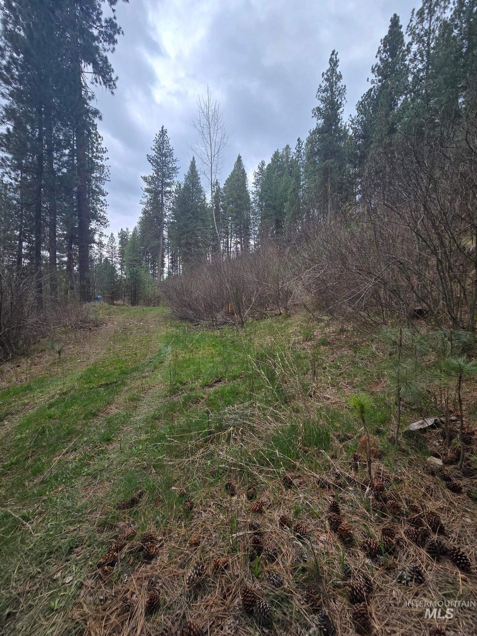 39 Beaver Creek, Boise, Idaho 83716, Land For Sale, Price $119,000,MLS 98980123