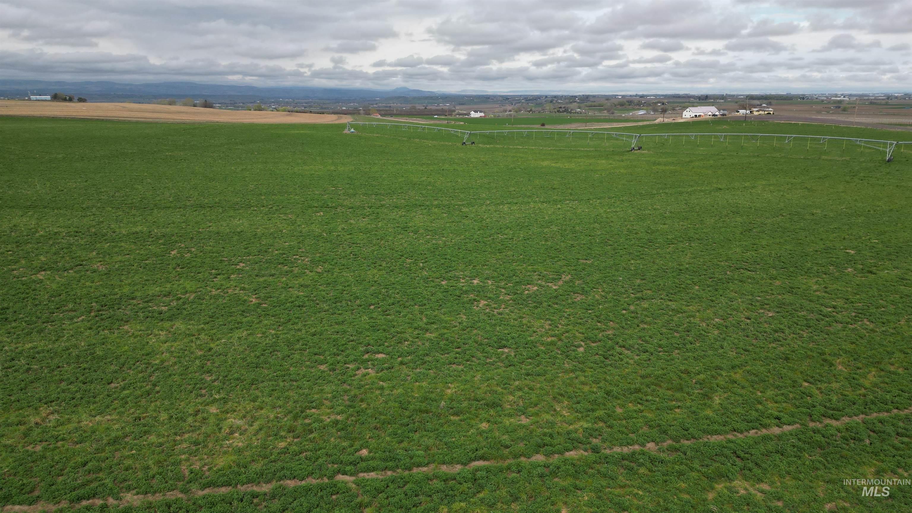 17777 Allendale Rd, Wilder, Idaho 83676, 5 Bedrooms, 4.5 Bathrooms, Residential For Sale, Price $3,500,000,MLS 98980131