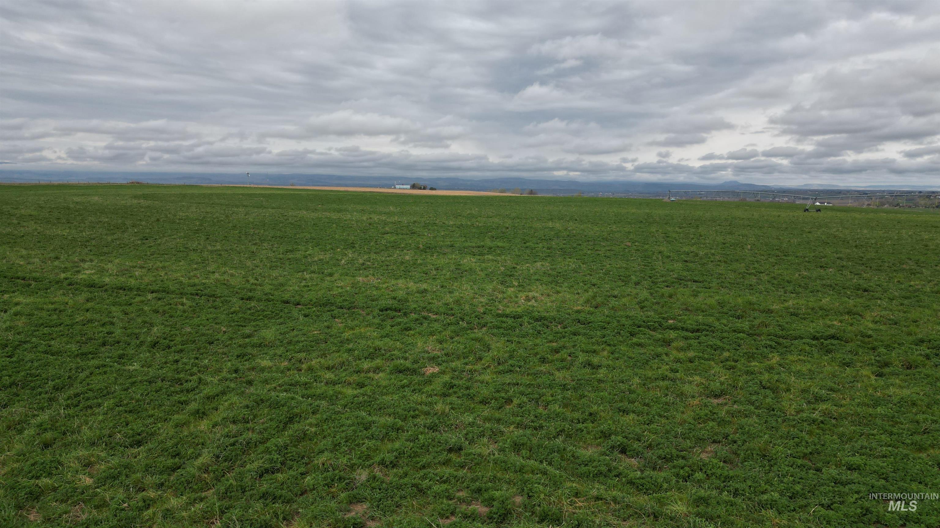 17777 Allendale Rd, Wilder, Idaho 83676, 5 Bedrooms, 4.5 Bathrooms, Residential For Sale, Price $3,500,000,MLS 98980131