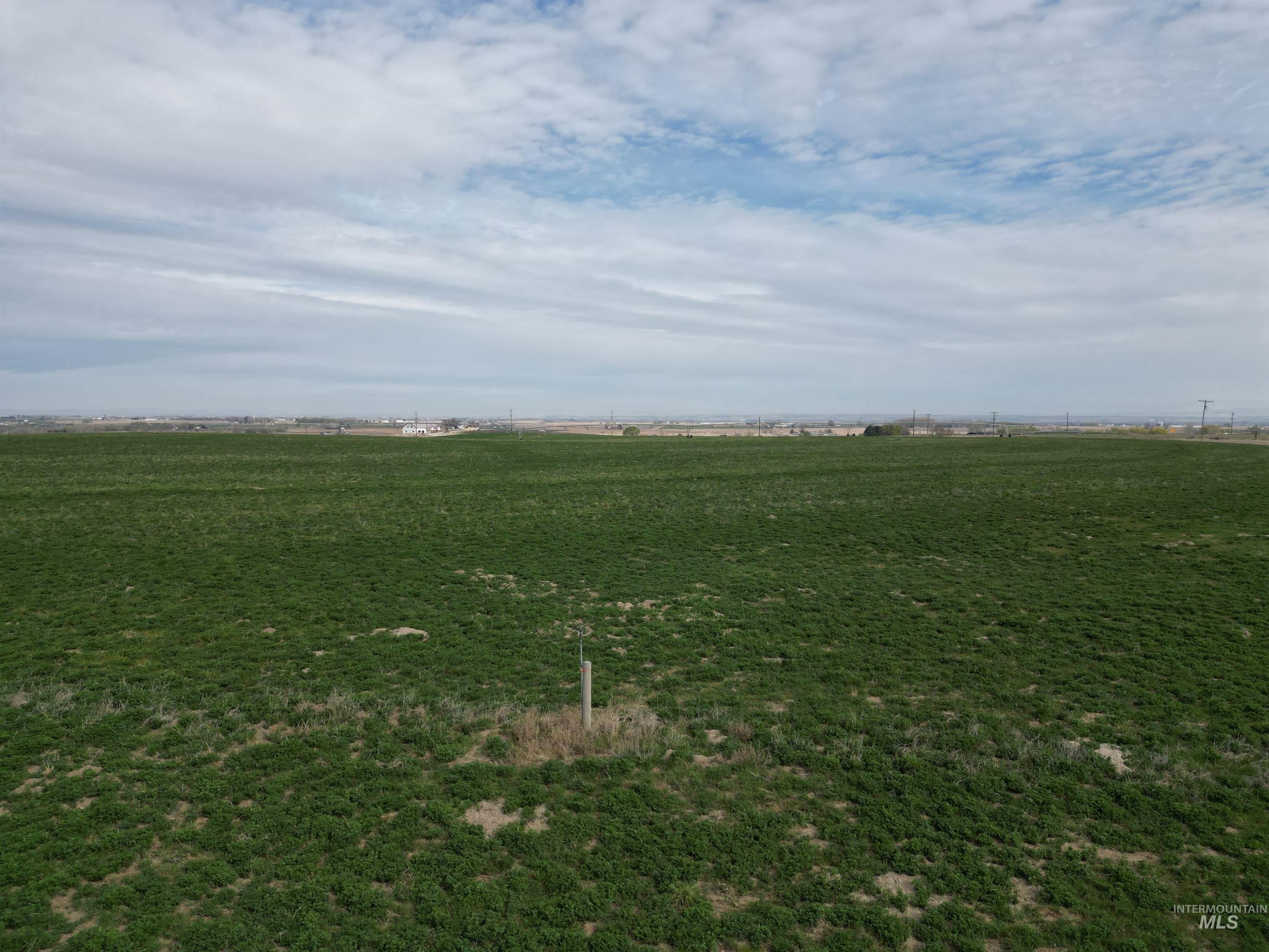 17777 Allendale Rd, Wilder, Idaho 83676, 5 Bedrooms, 4.5 Bathrooms, Residential For Sale, Price $3,500,000,MLS 98980131