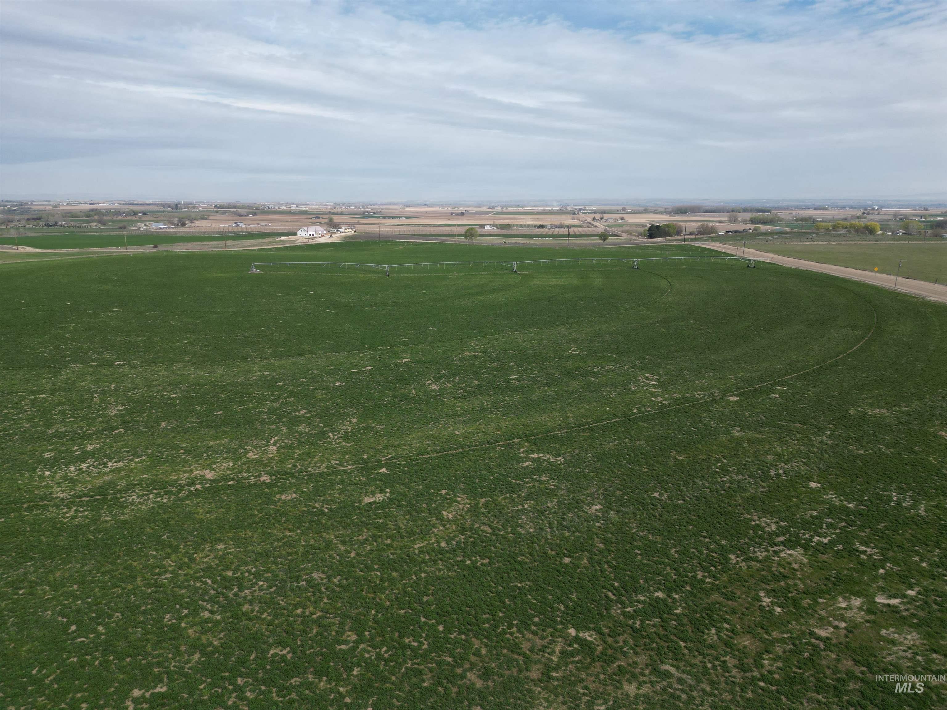 17777 Allendale Rd, Wilder, Idaho 83676, 5 Bedrooms, 4.5 Bathrooms, Residential For Sale, Price $3,500,000,MLS 98980131